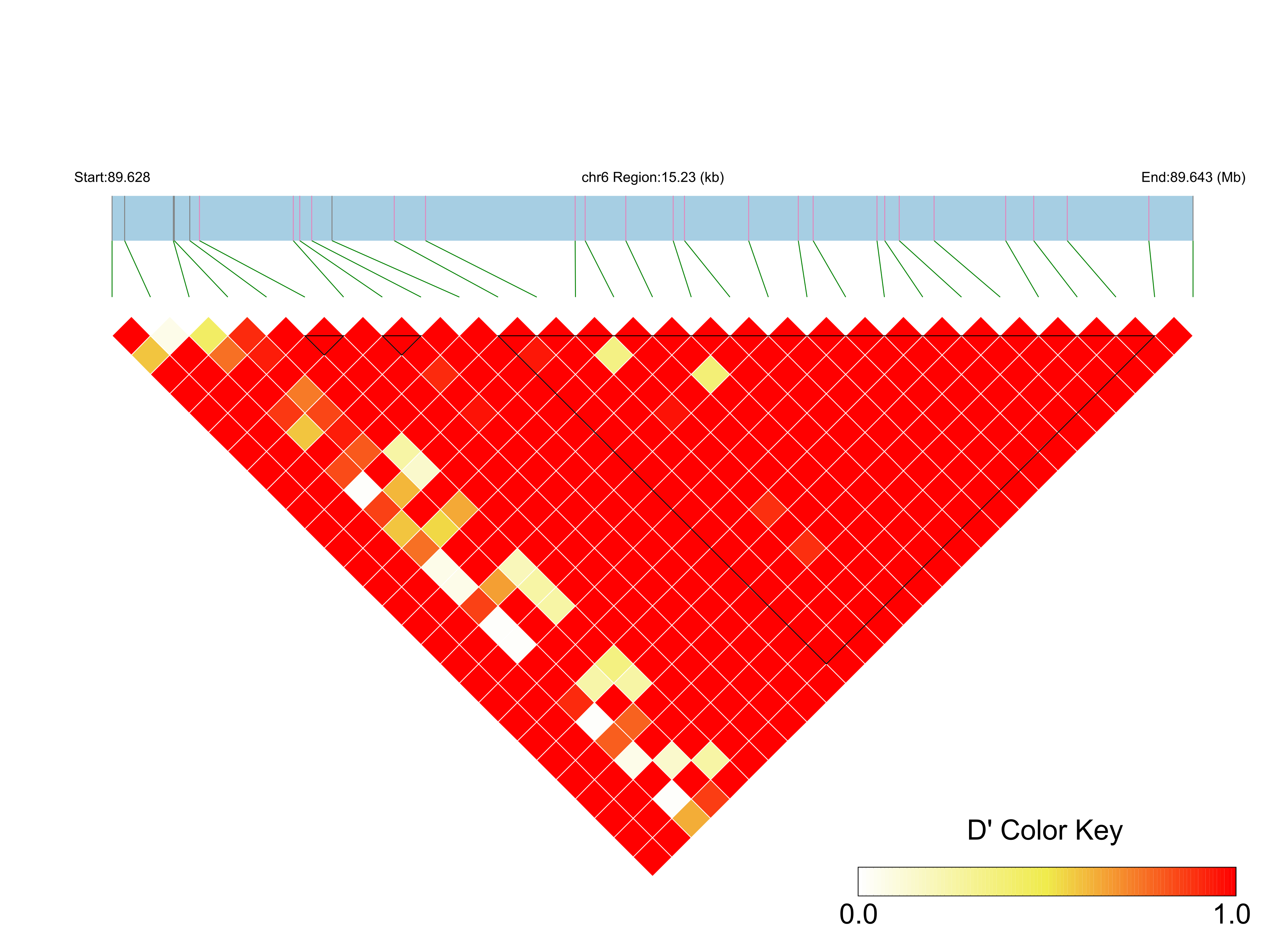 LD