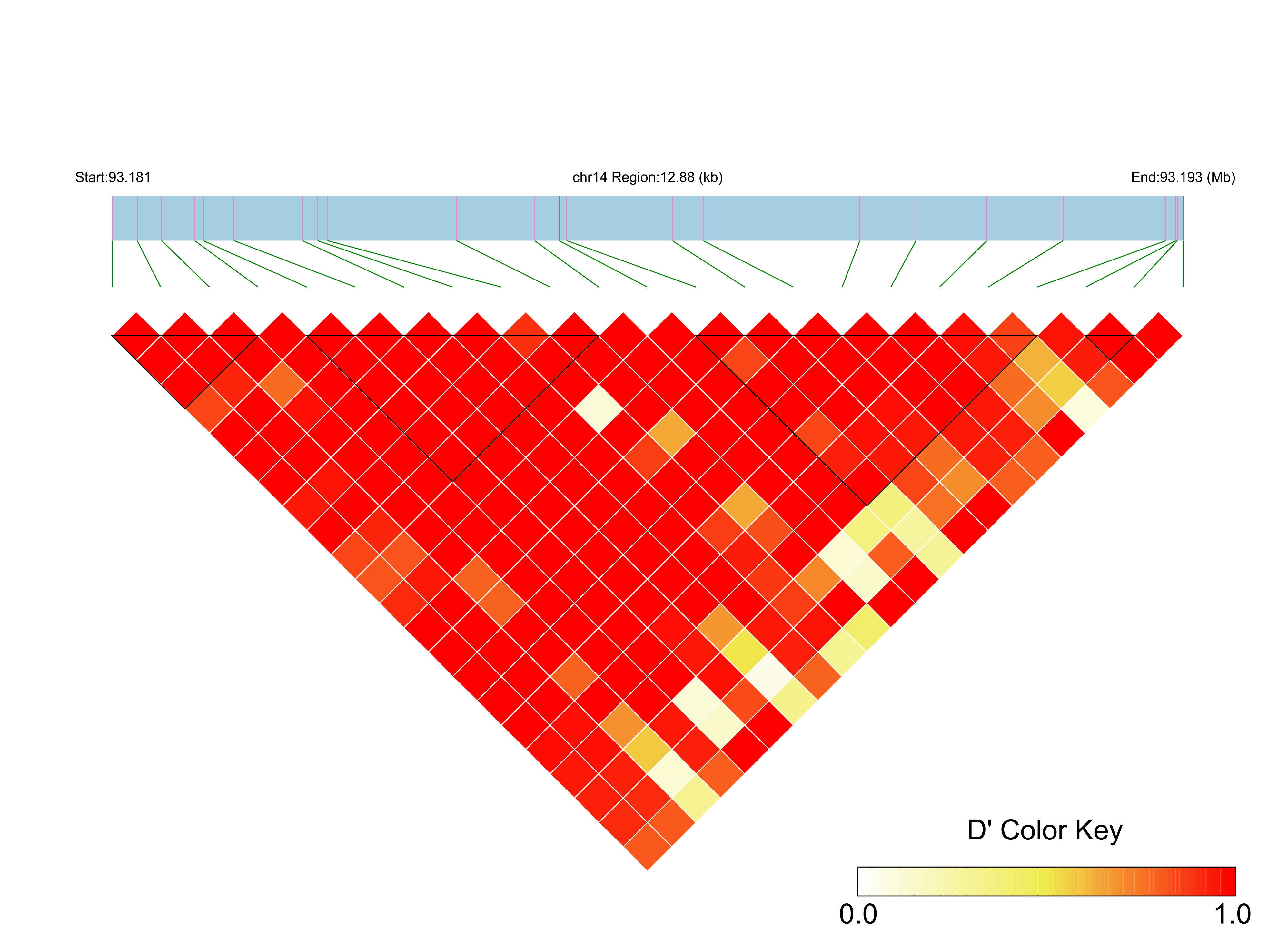 LD