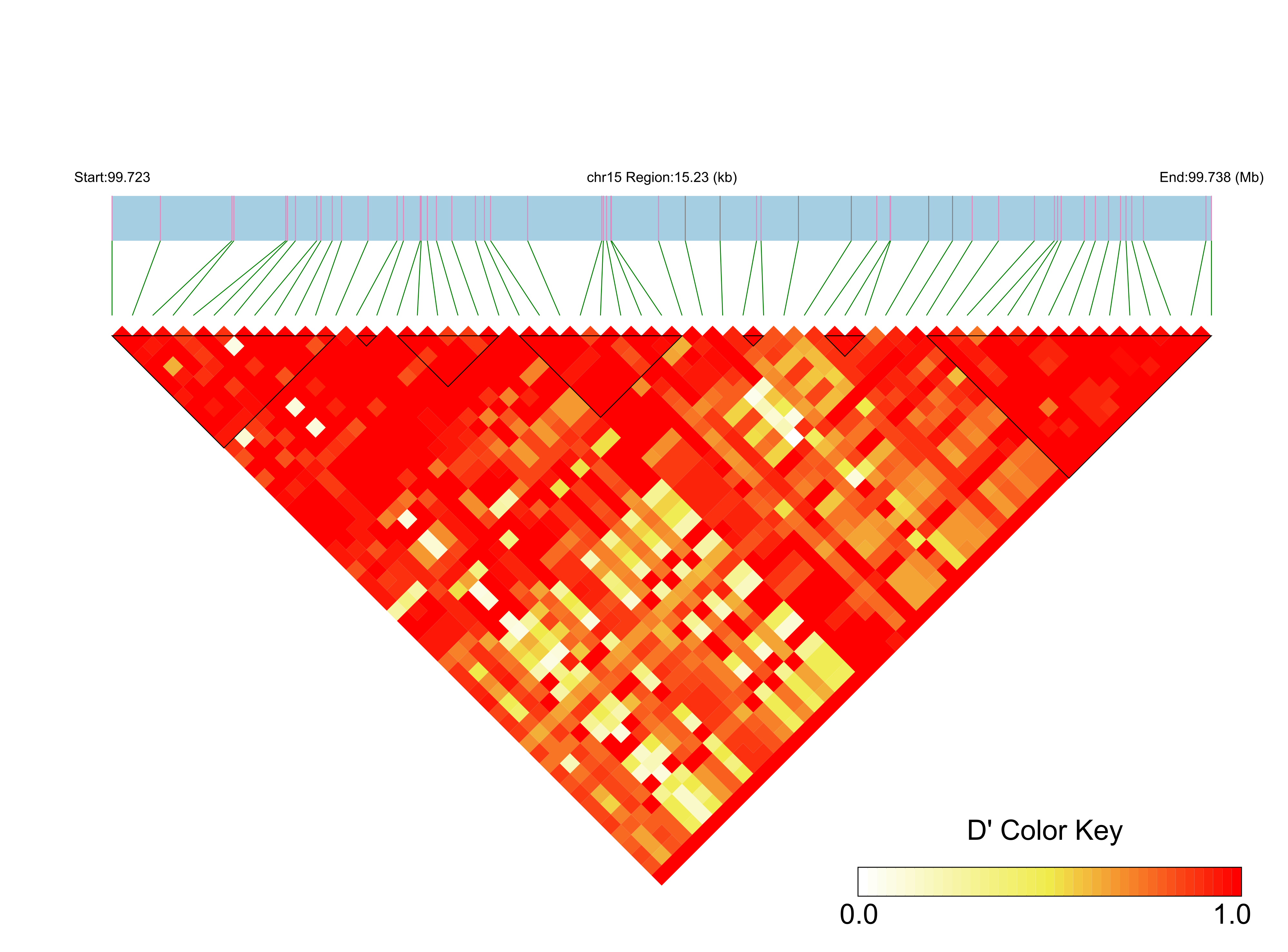 LD
