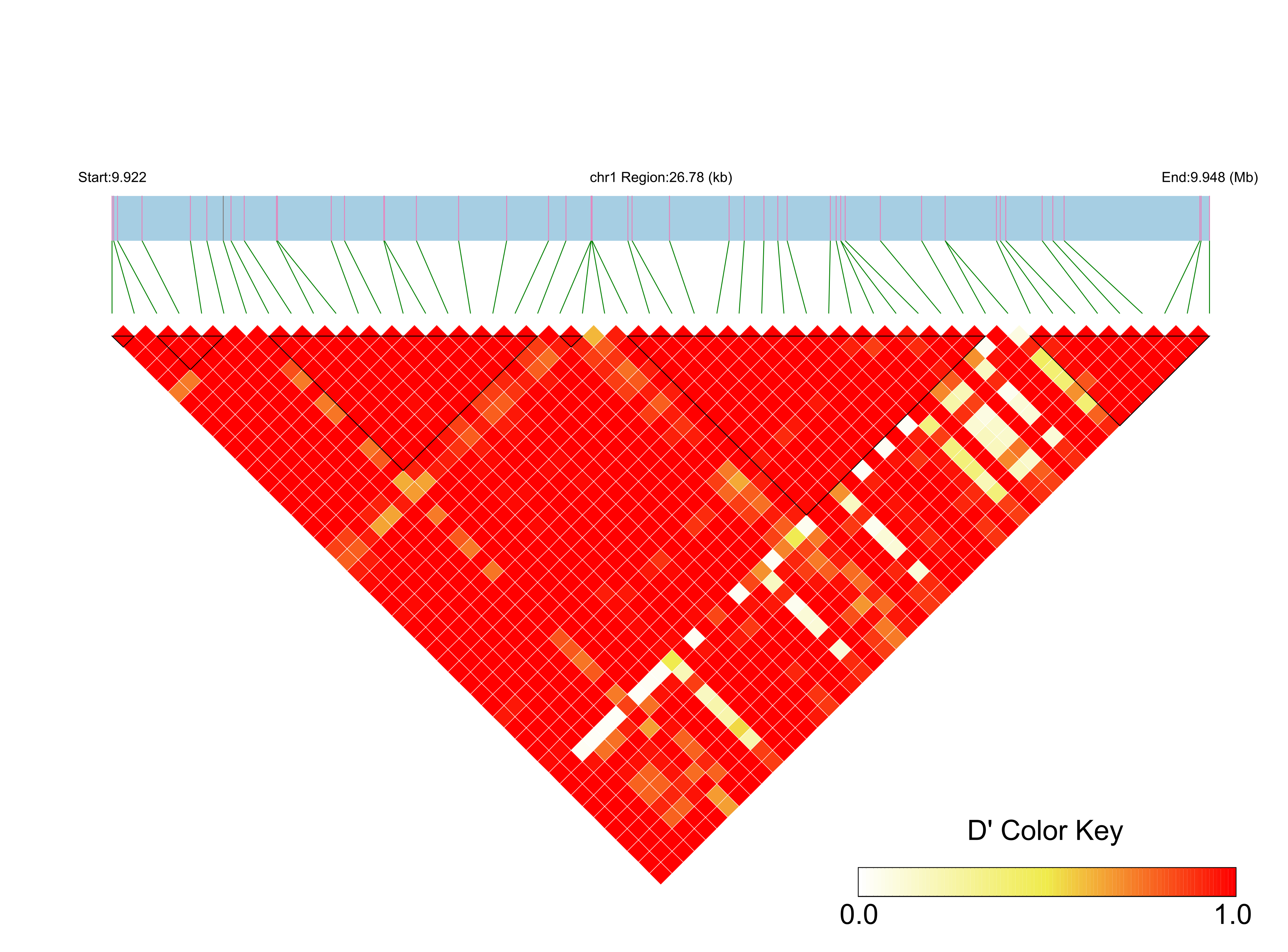 LD