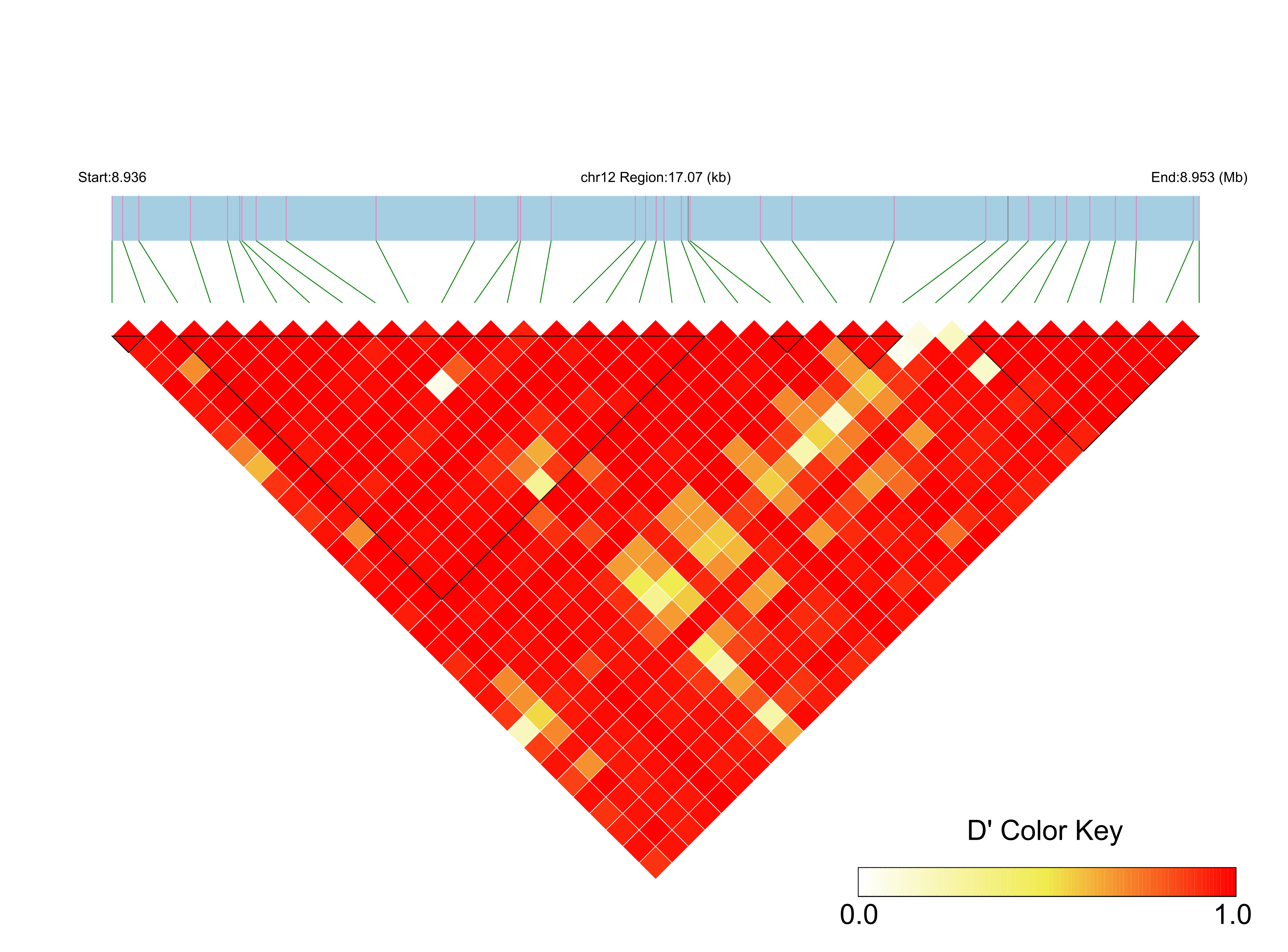 LD