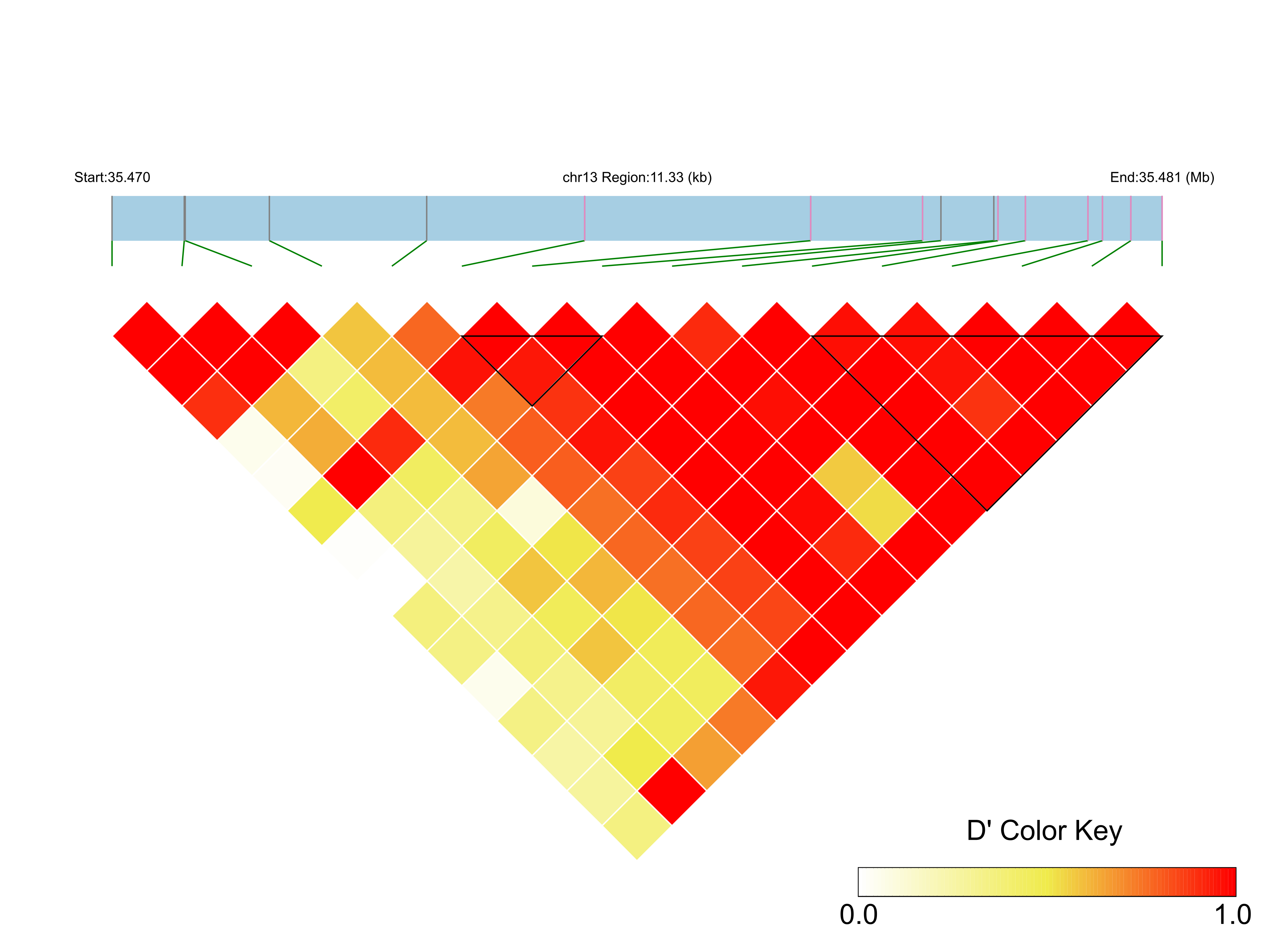 LD