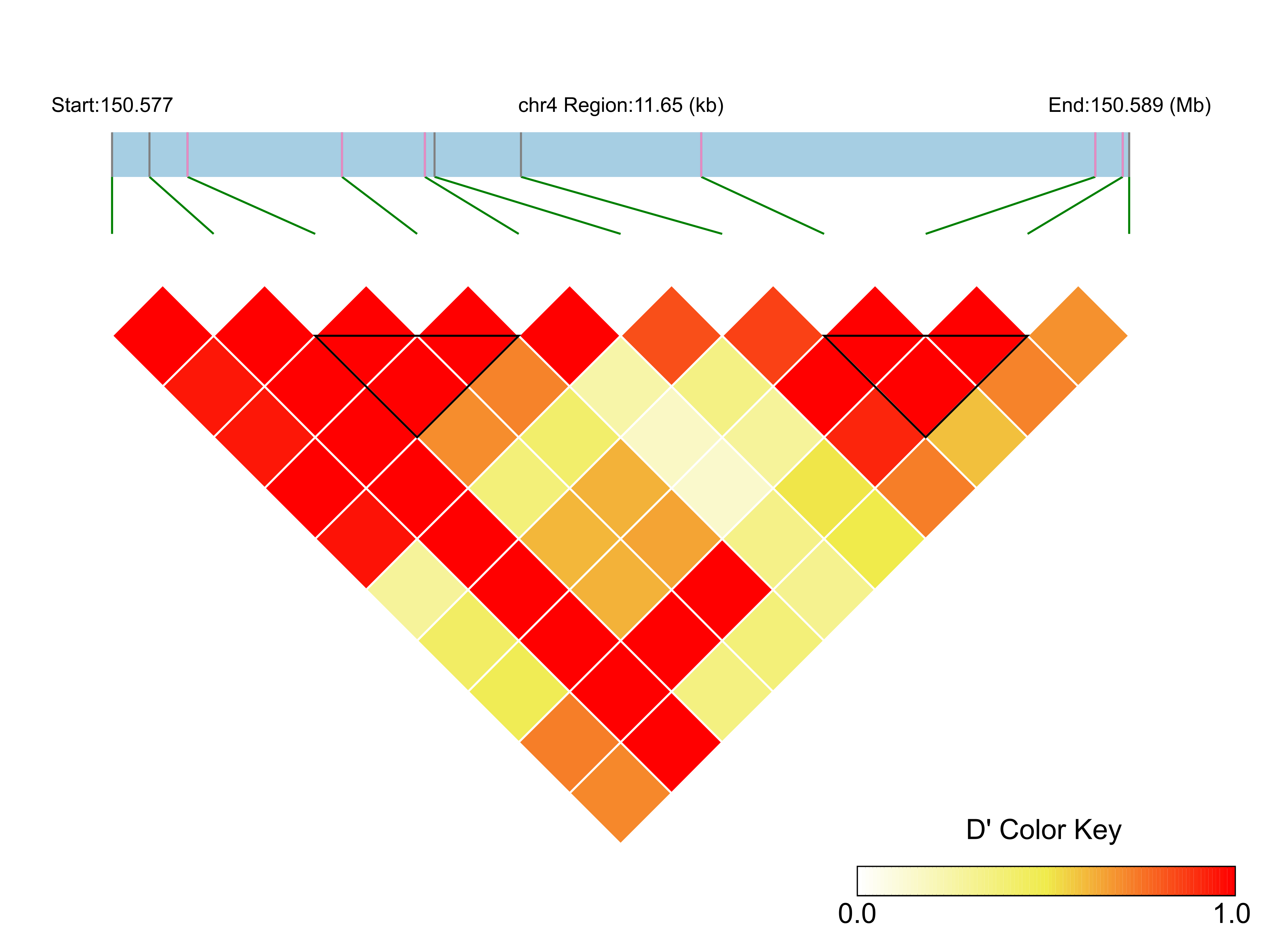 LD