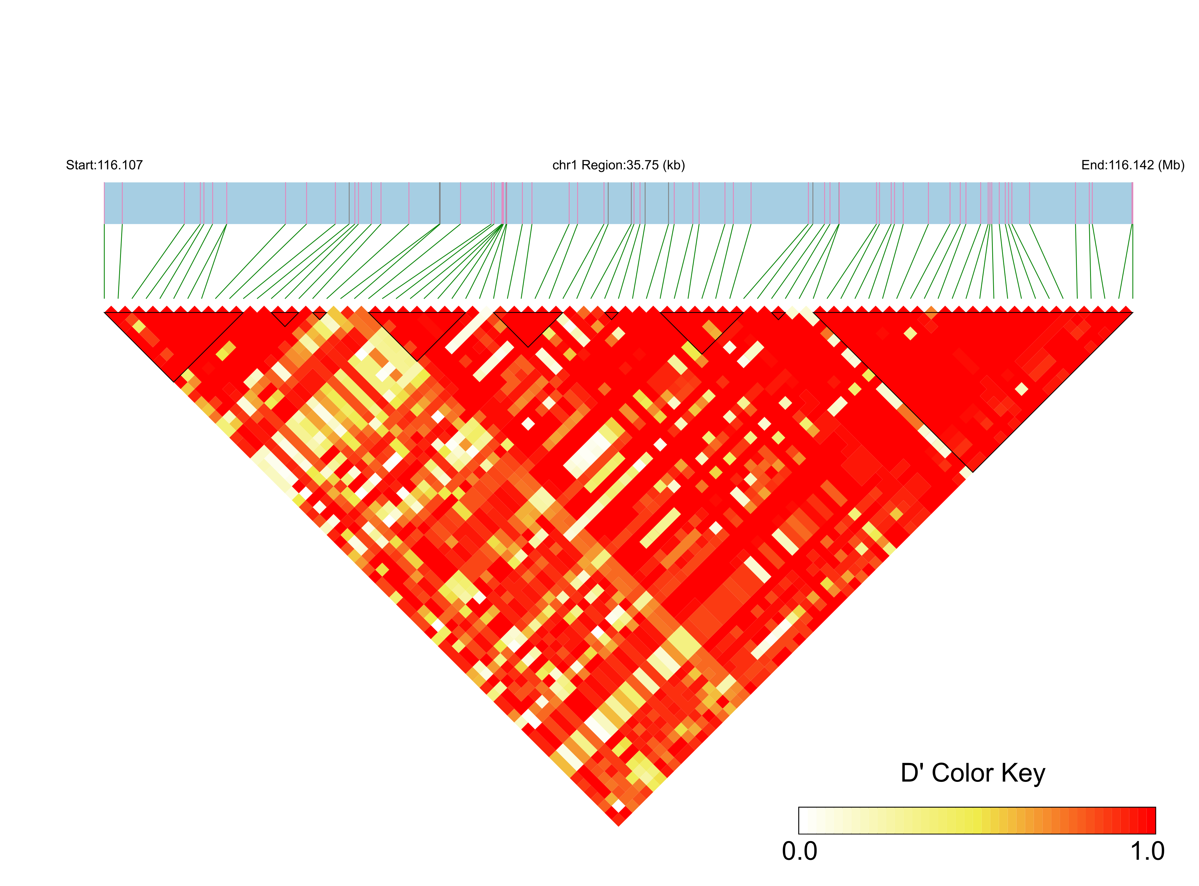 LD