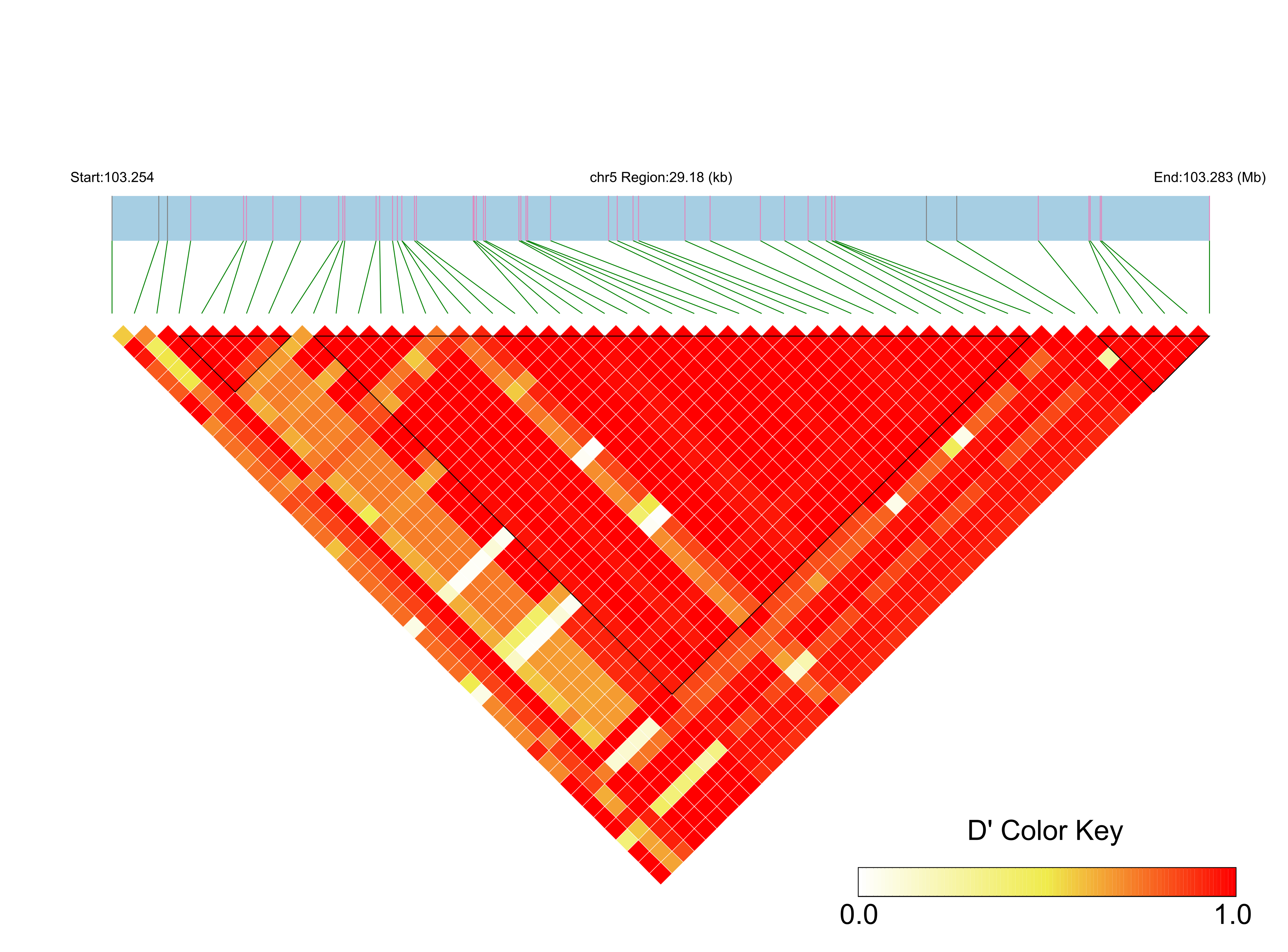 LD