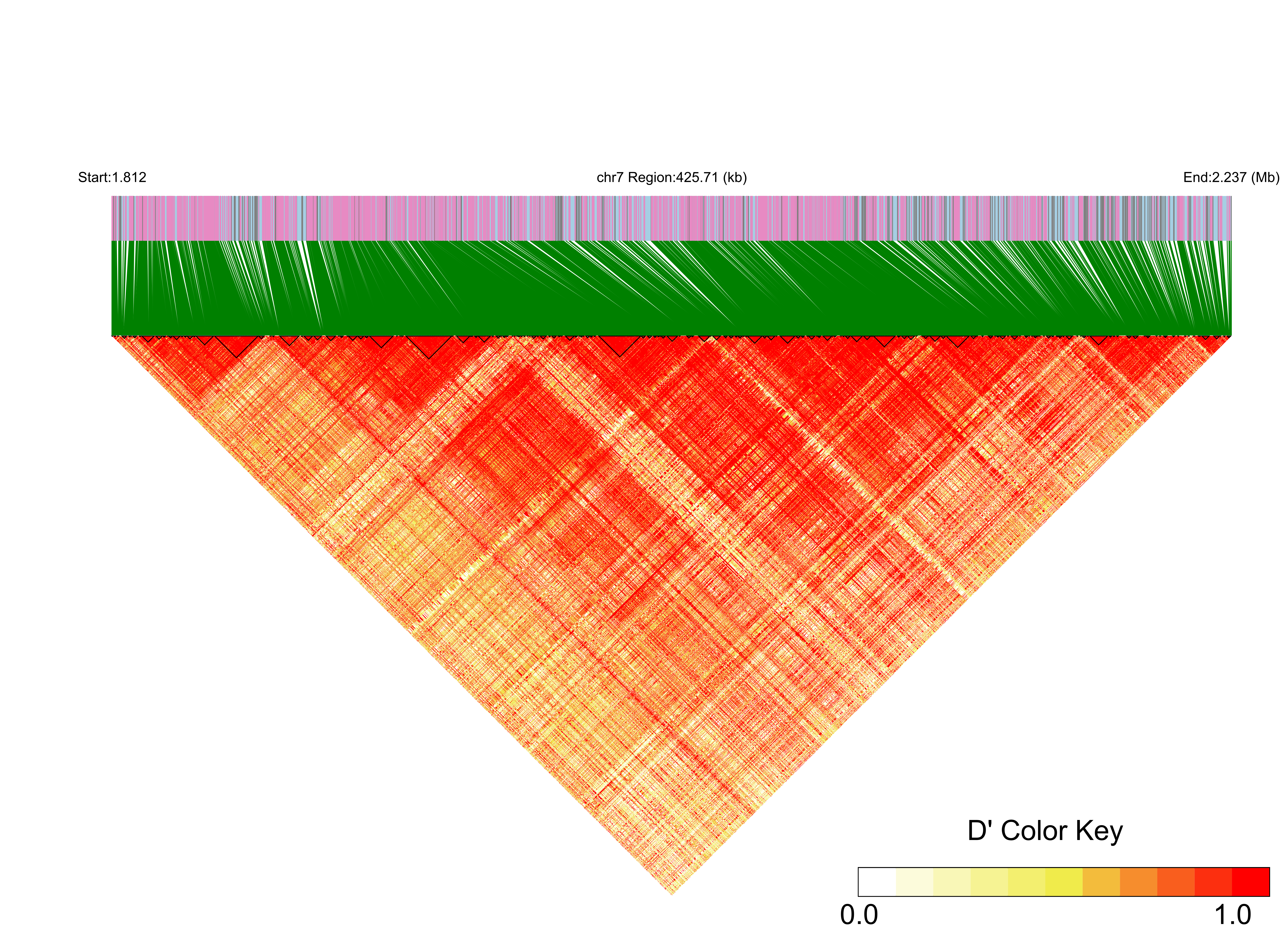 LD