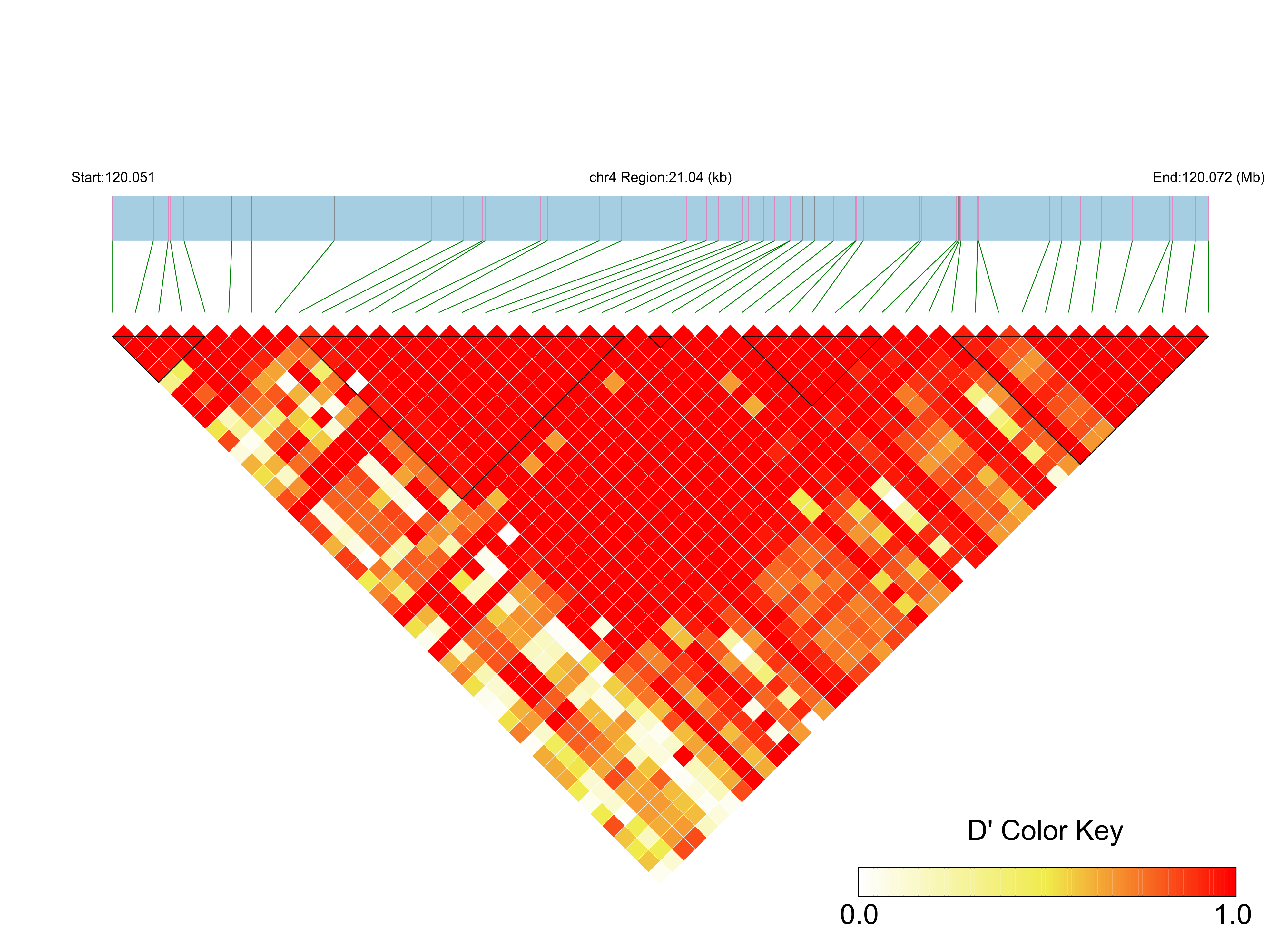 LD