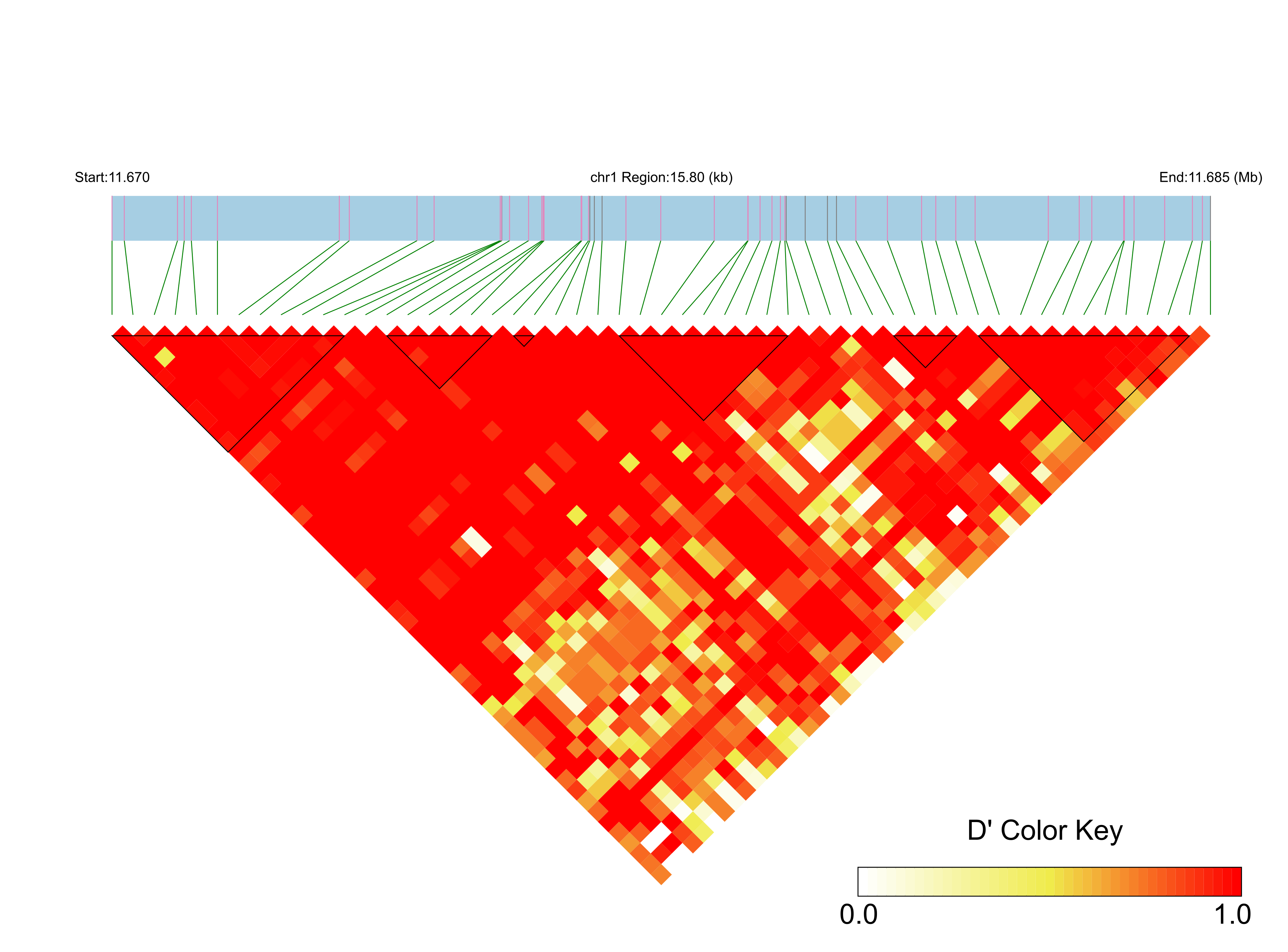 LD