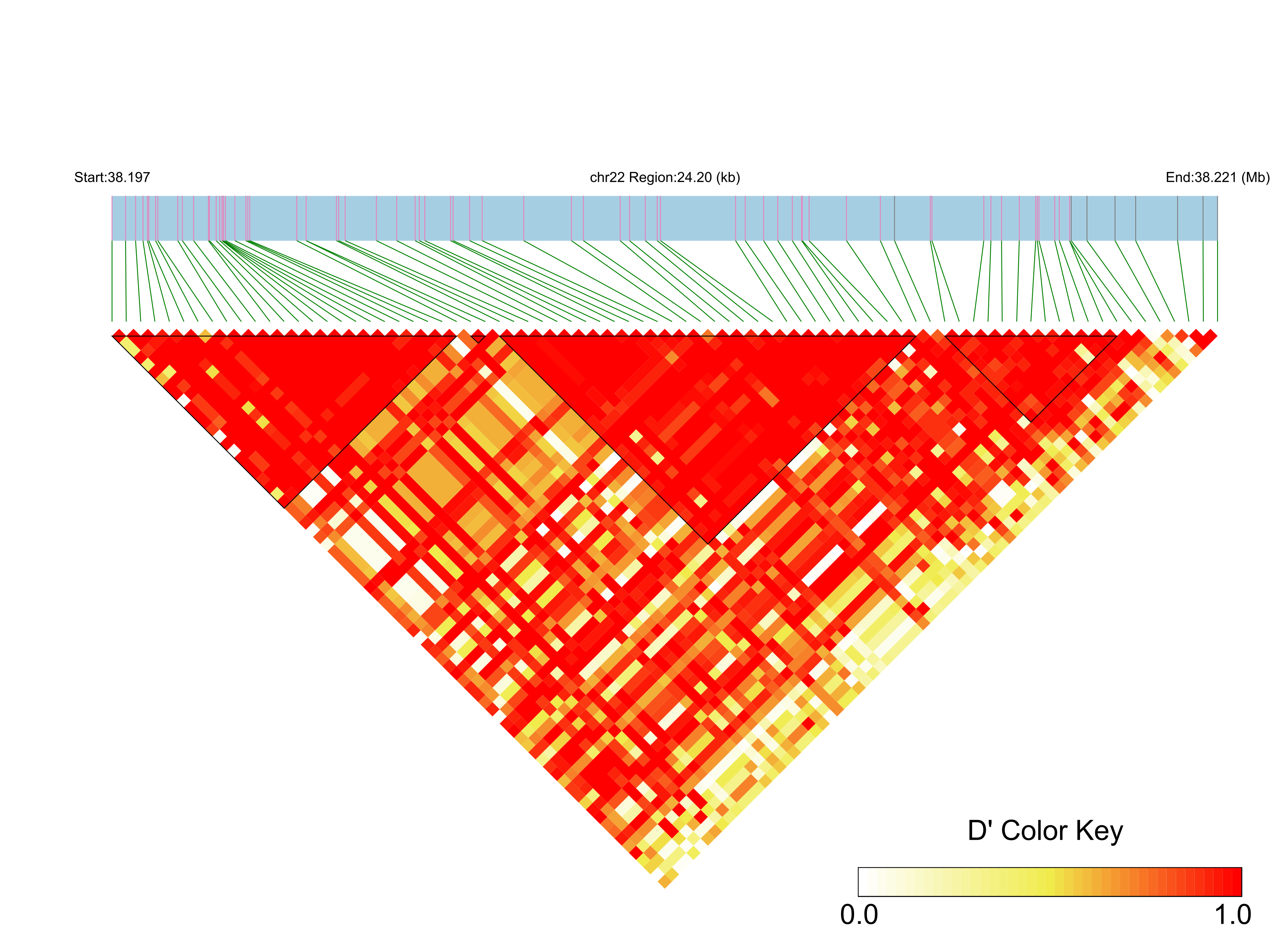 LD