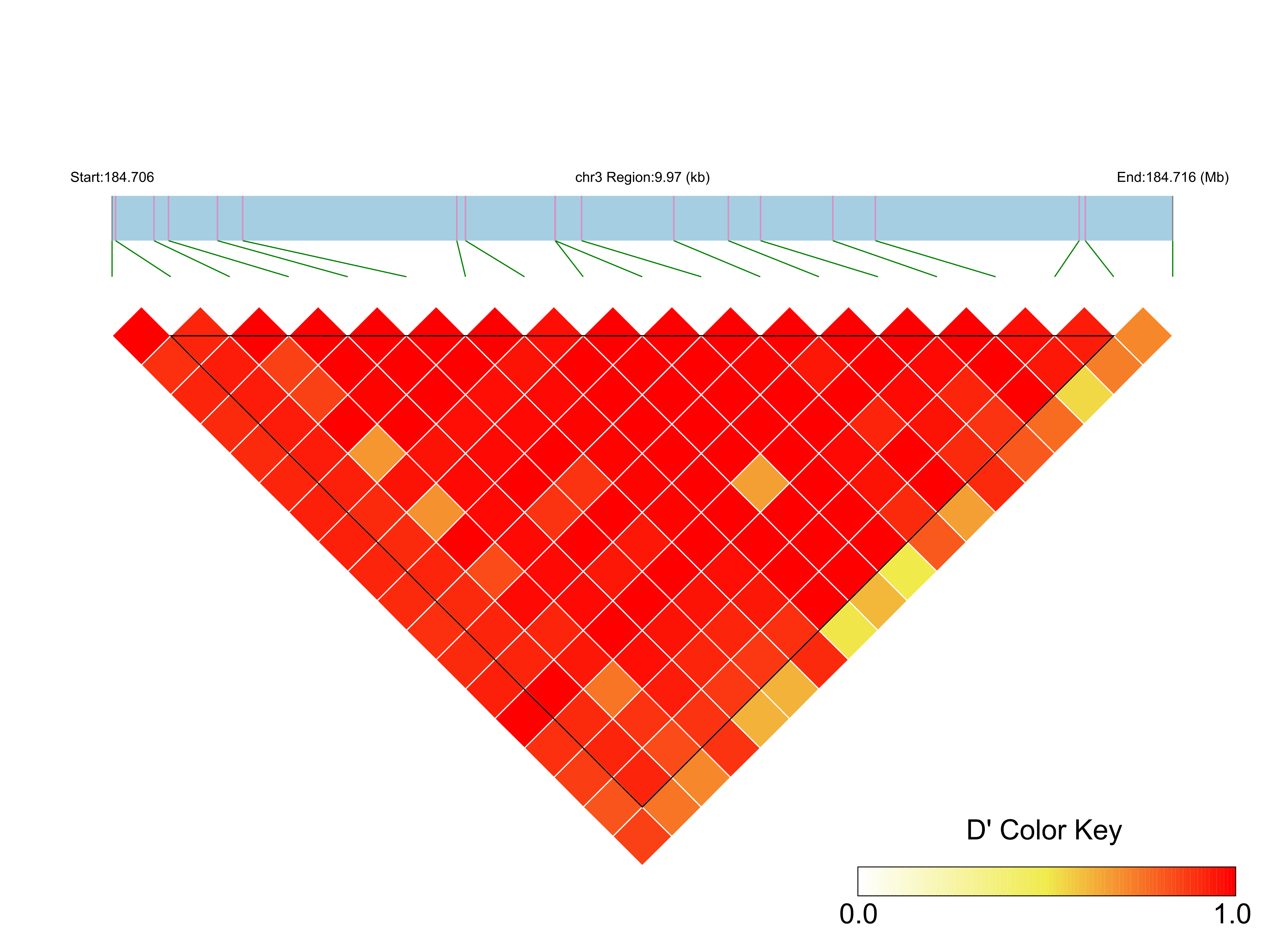 LD