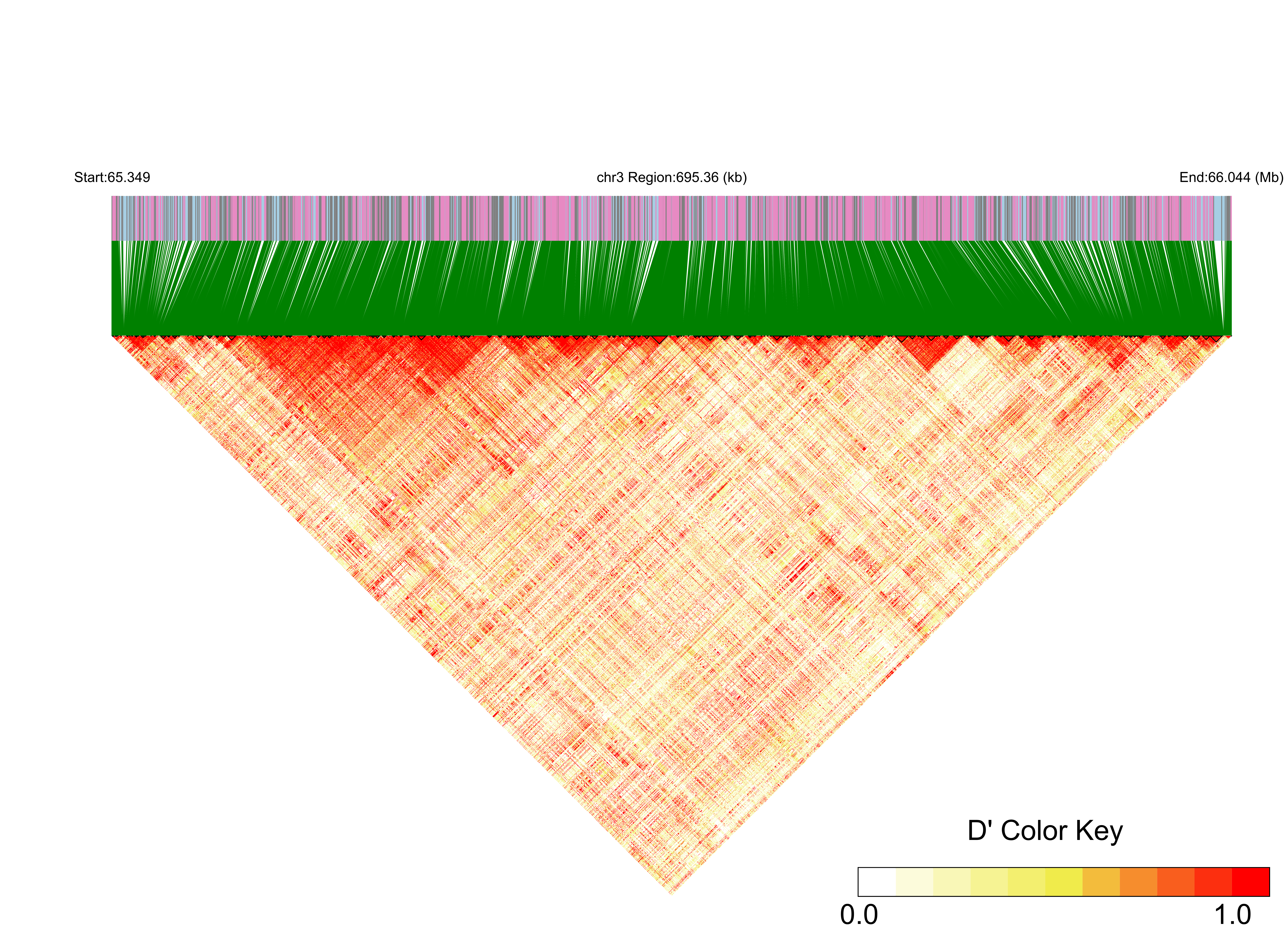LD