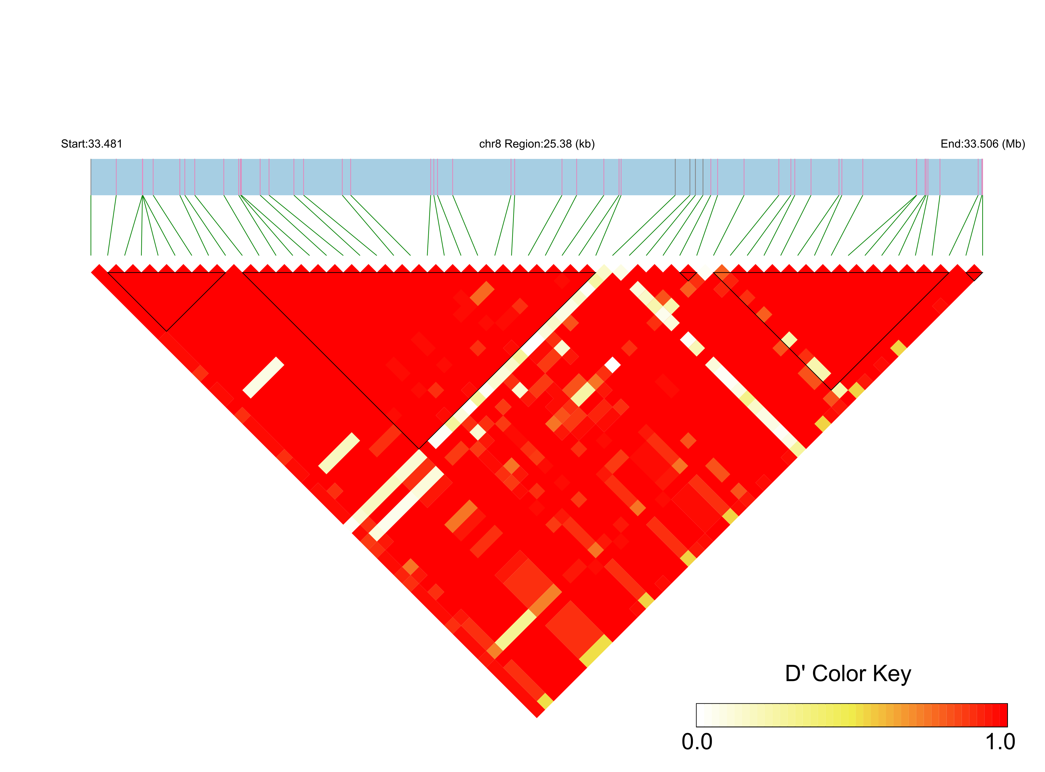 LD