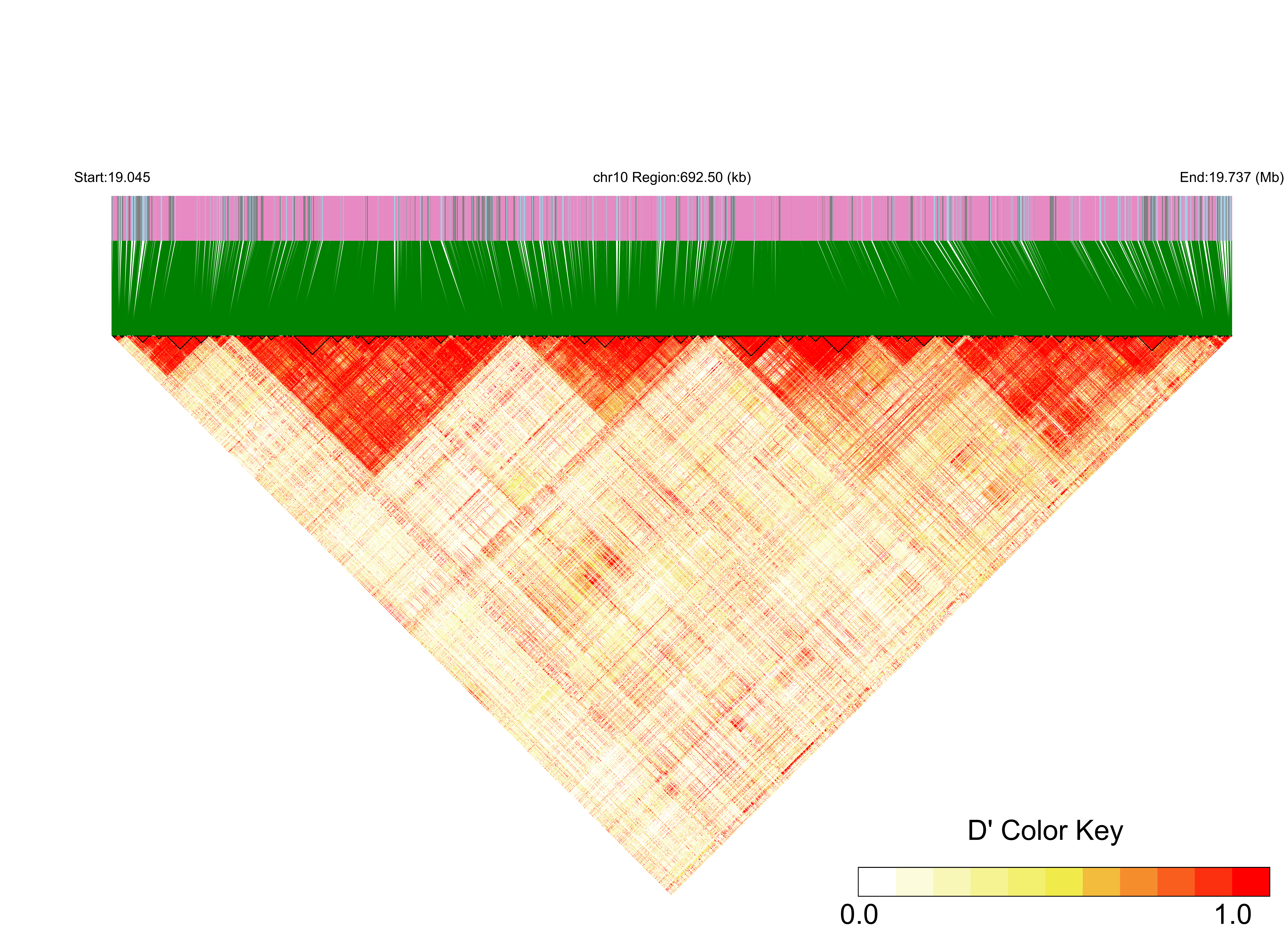LD