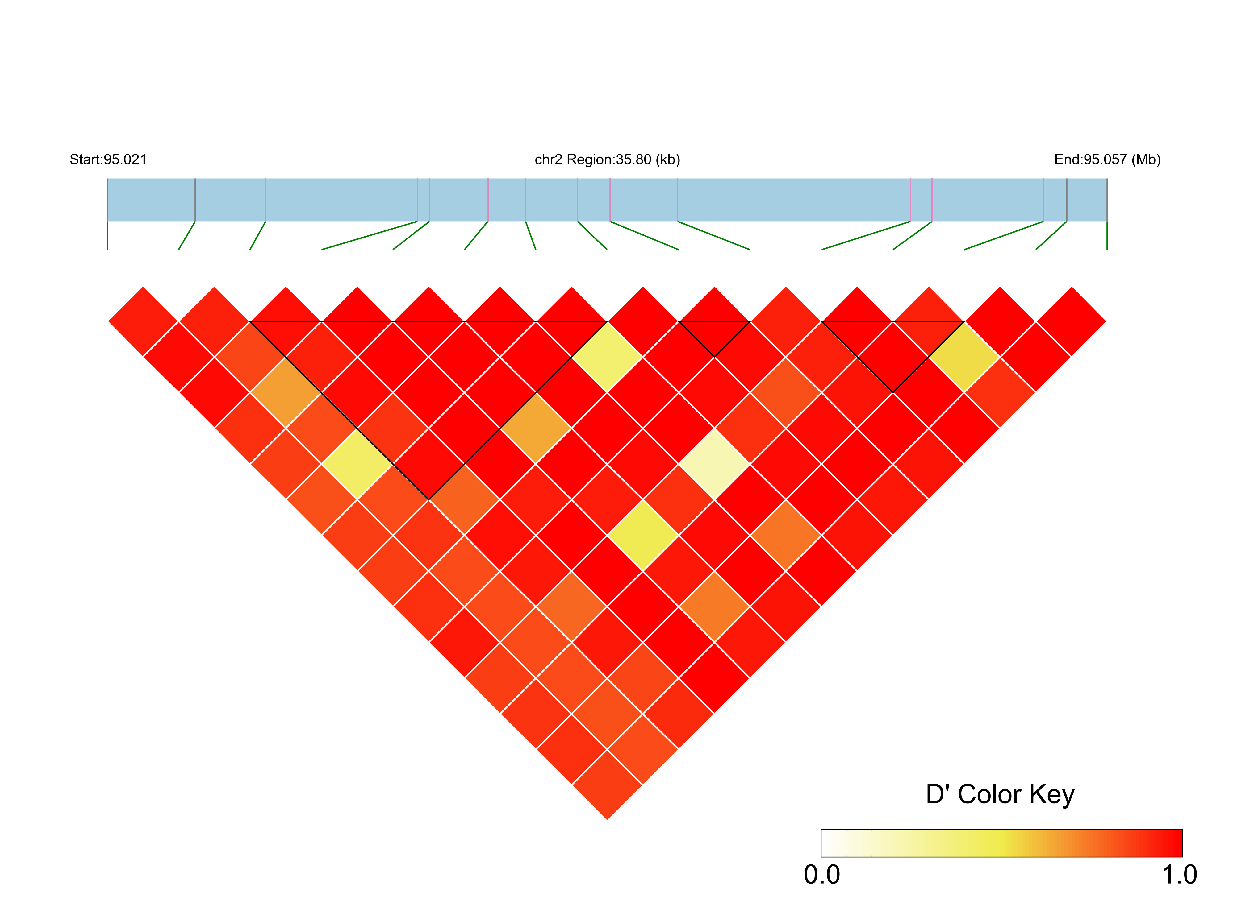 LD