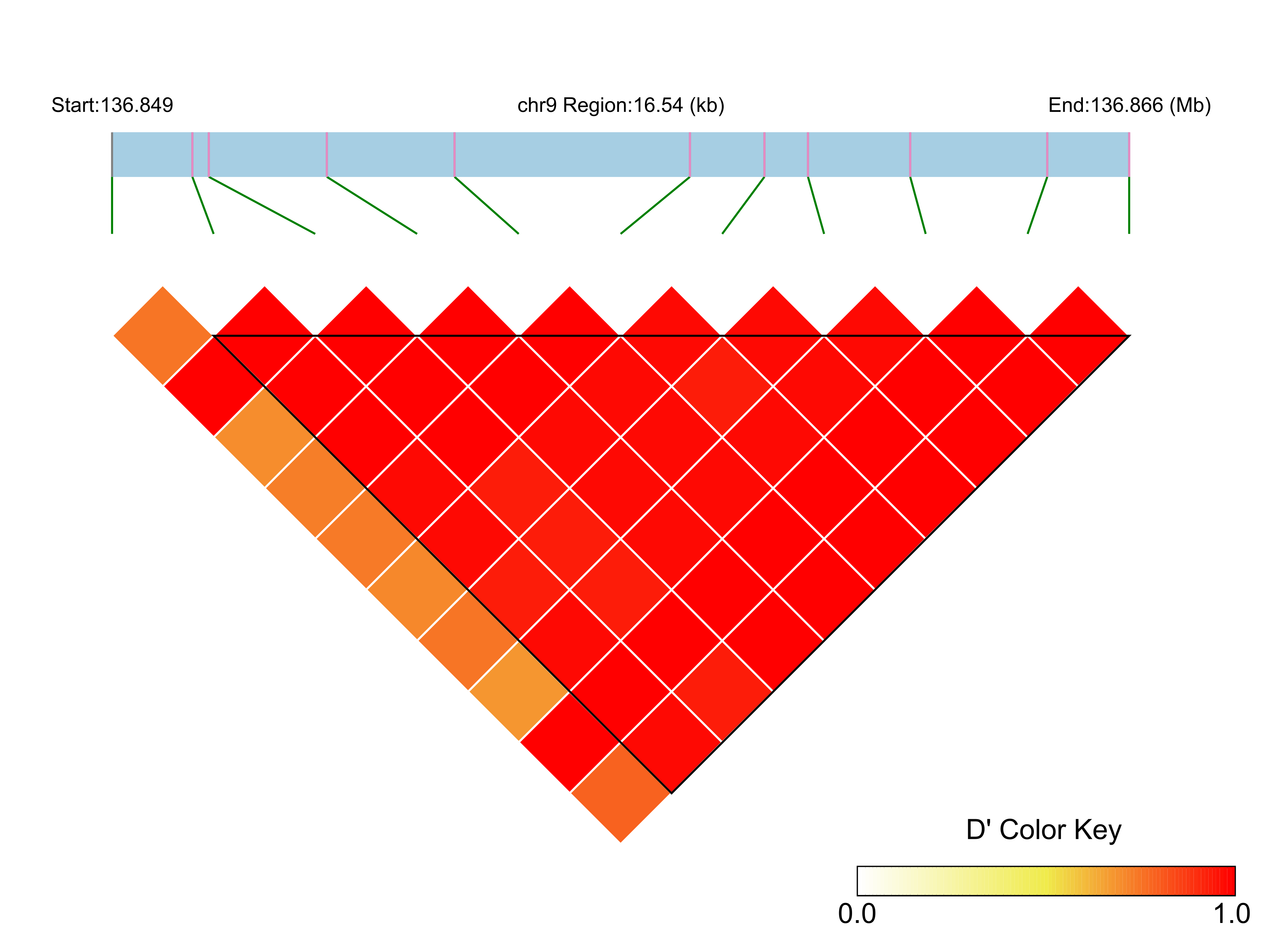 LD