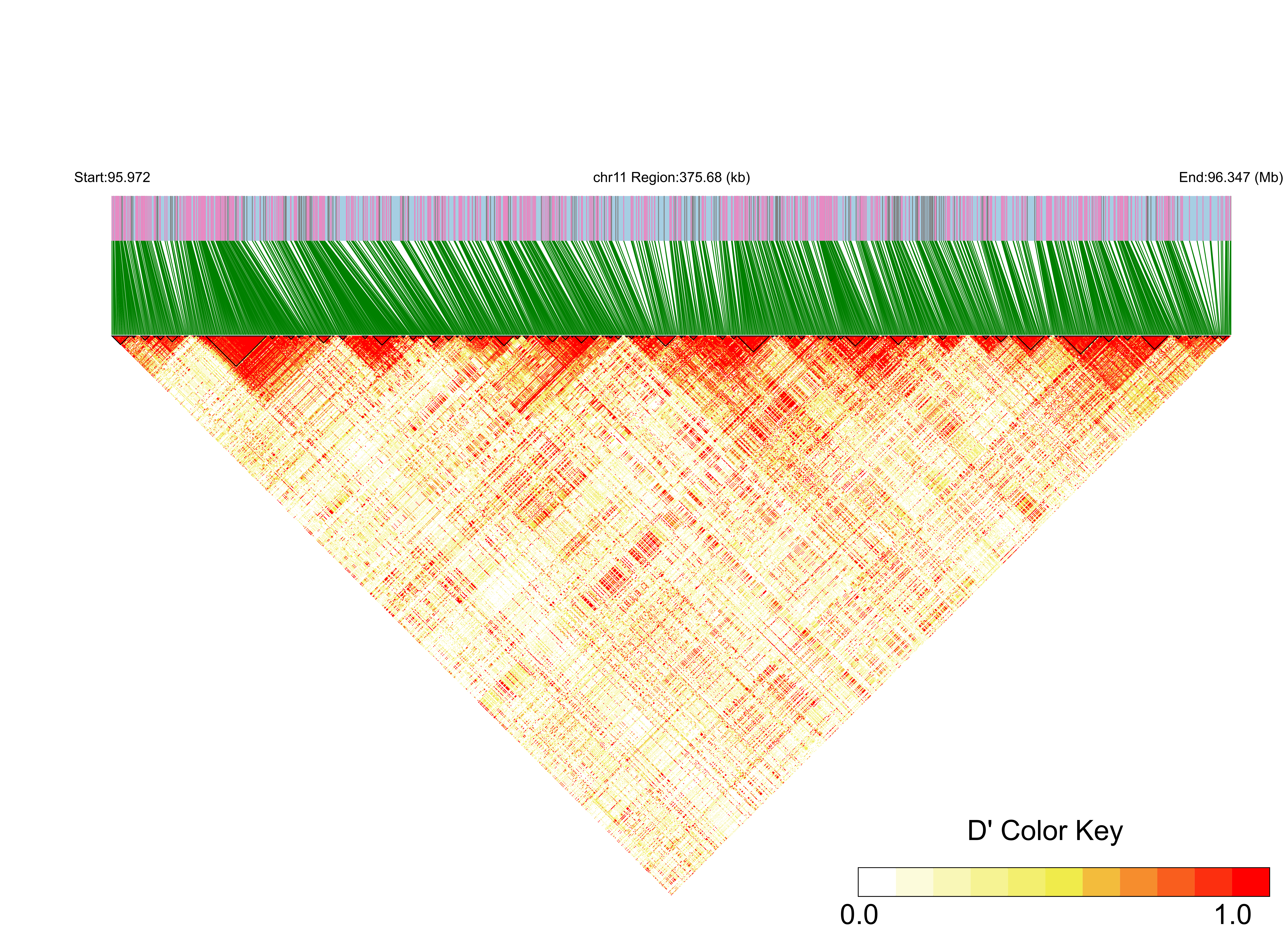 LD