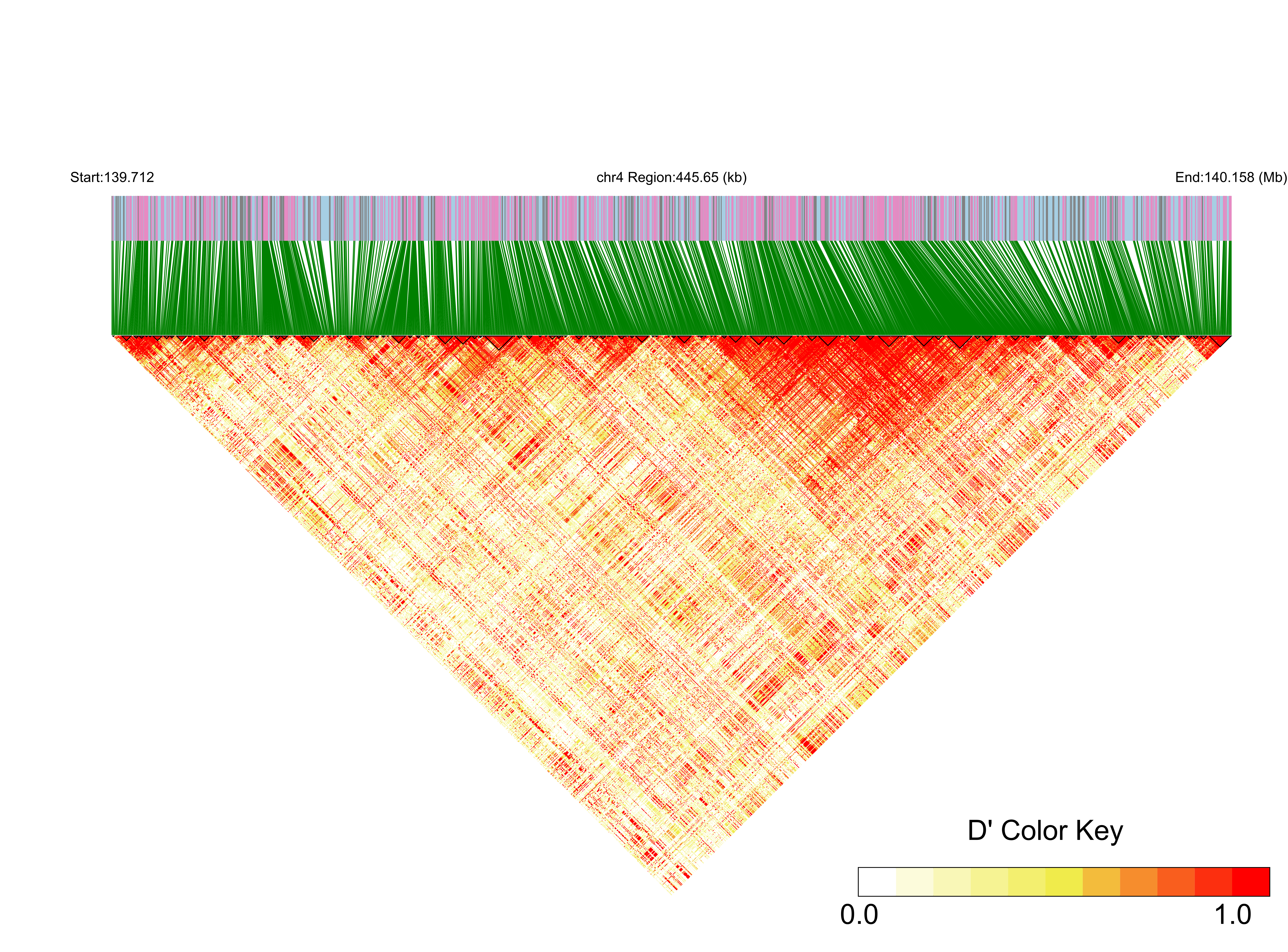 LD
