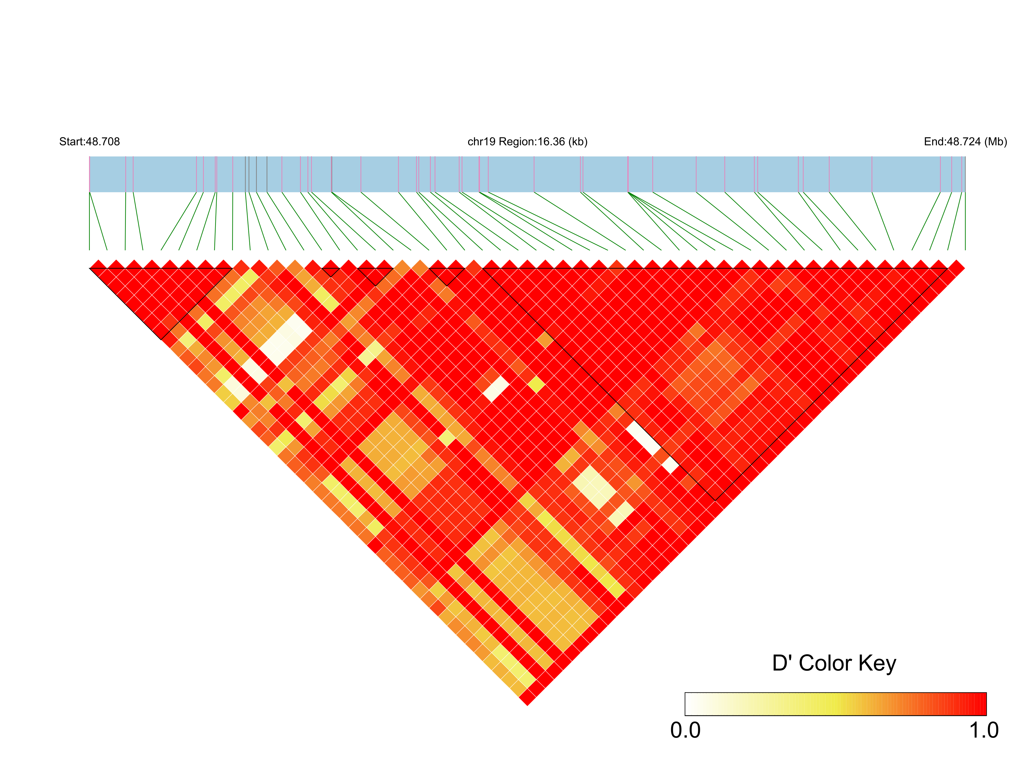 LD