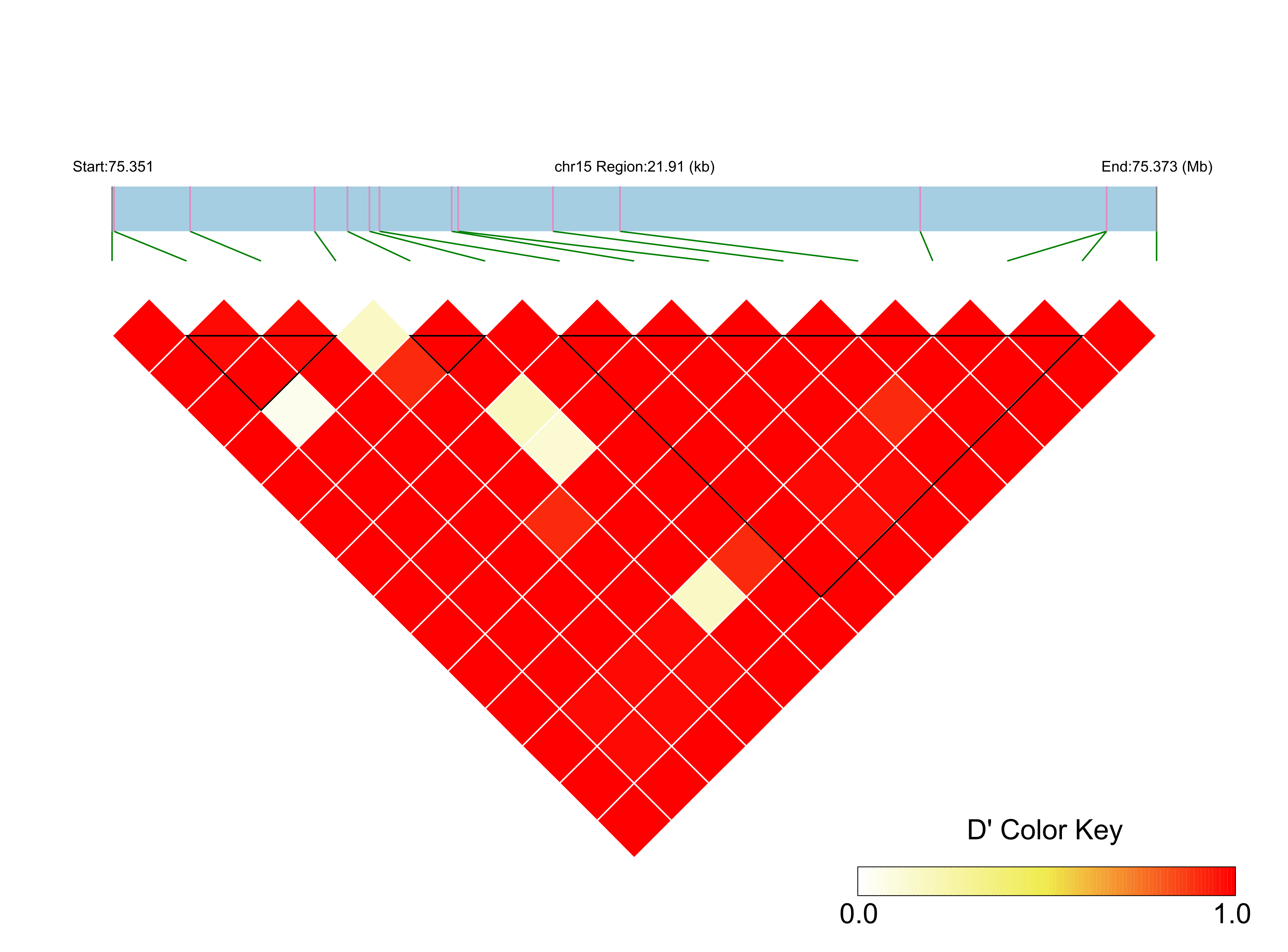 LD