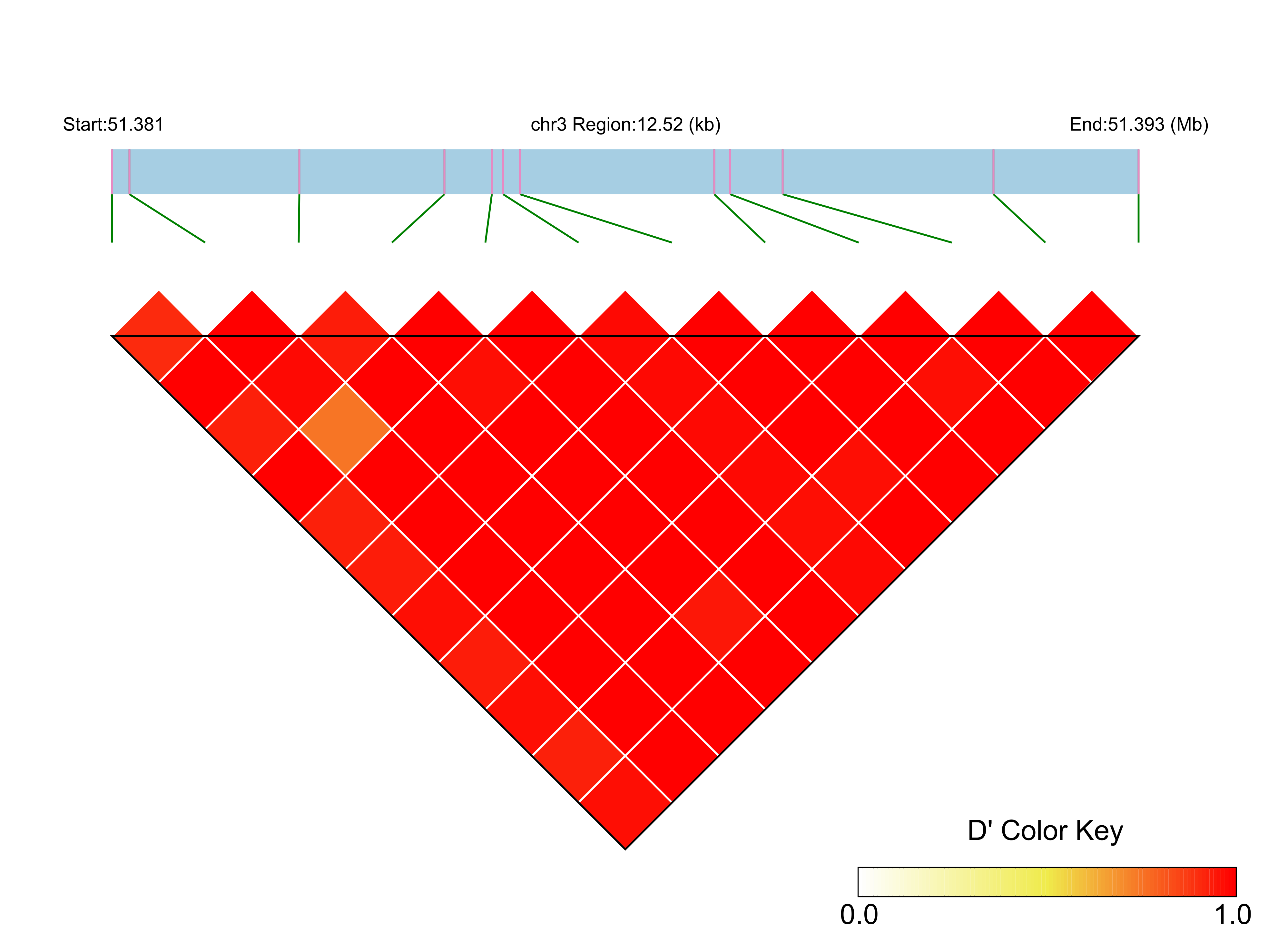 LD