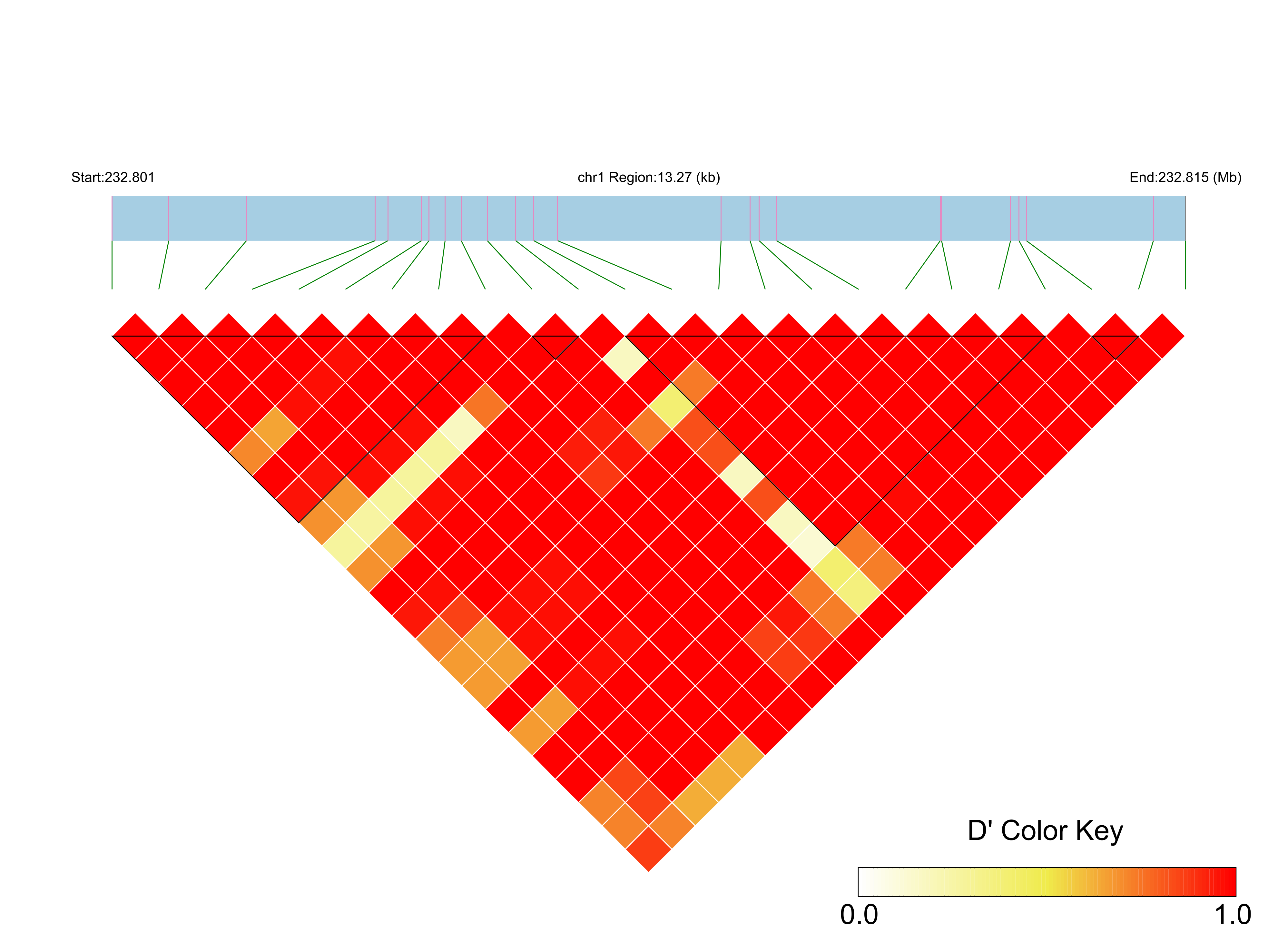 LD