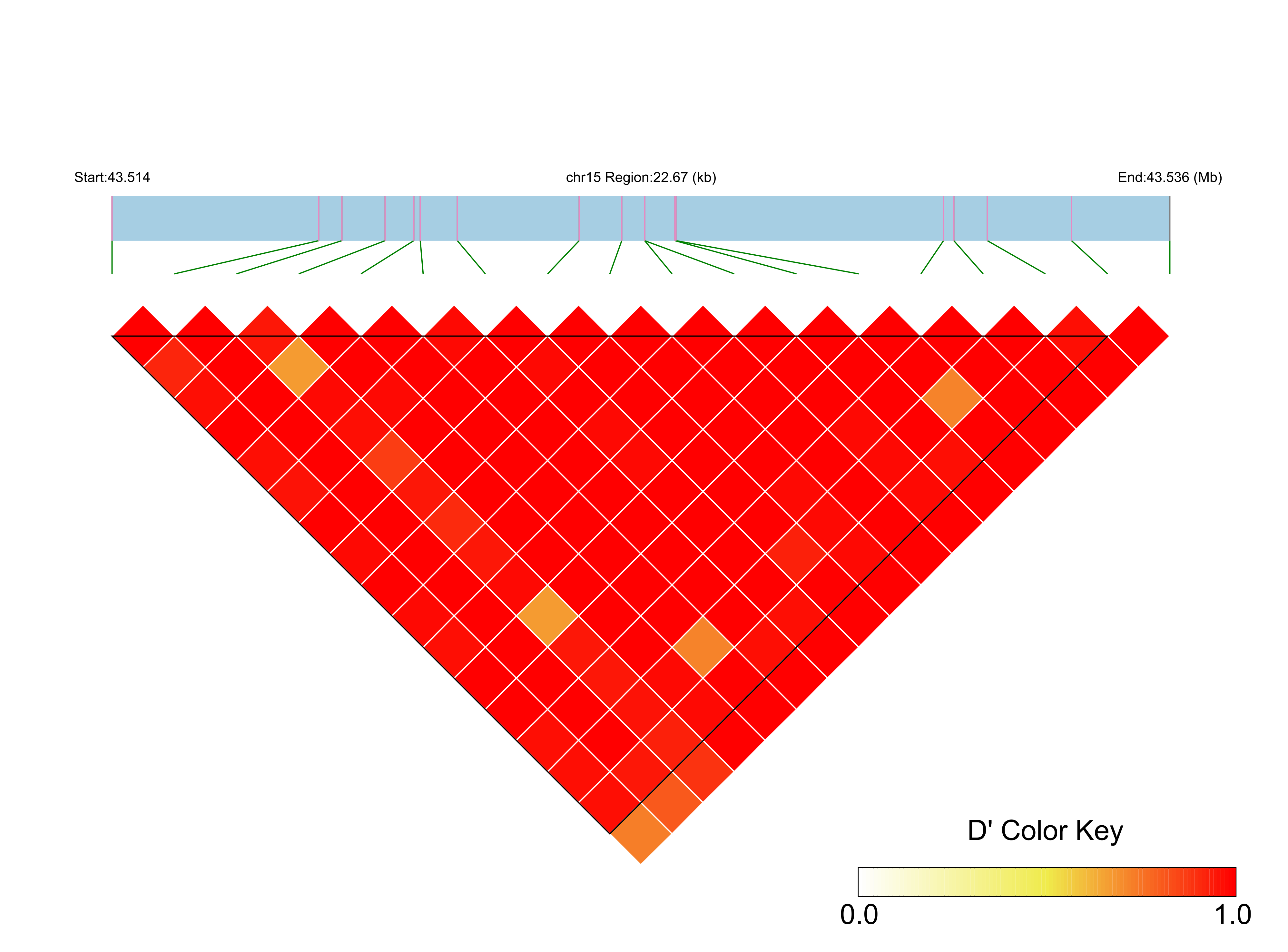 LD