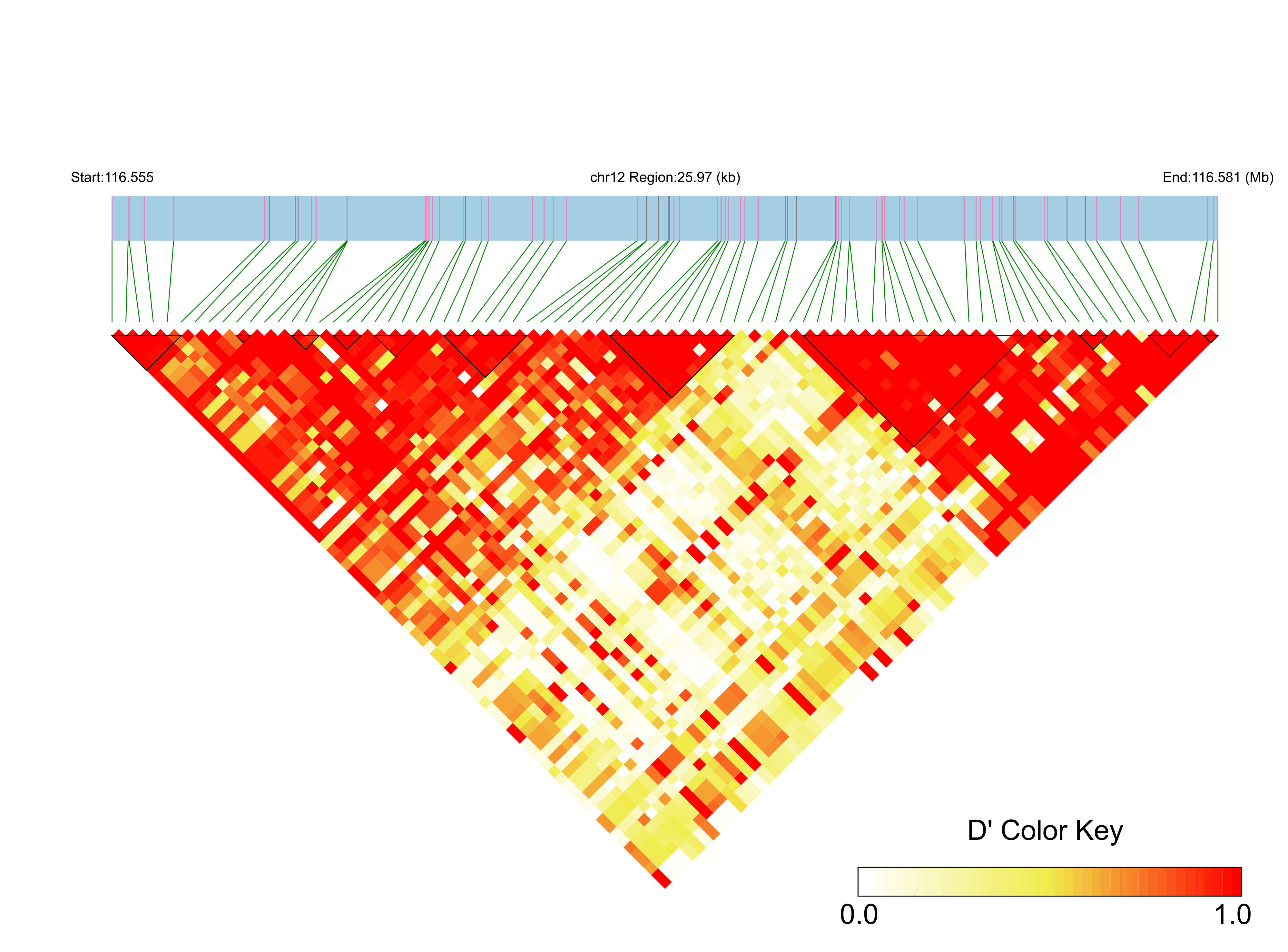 LD