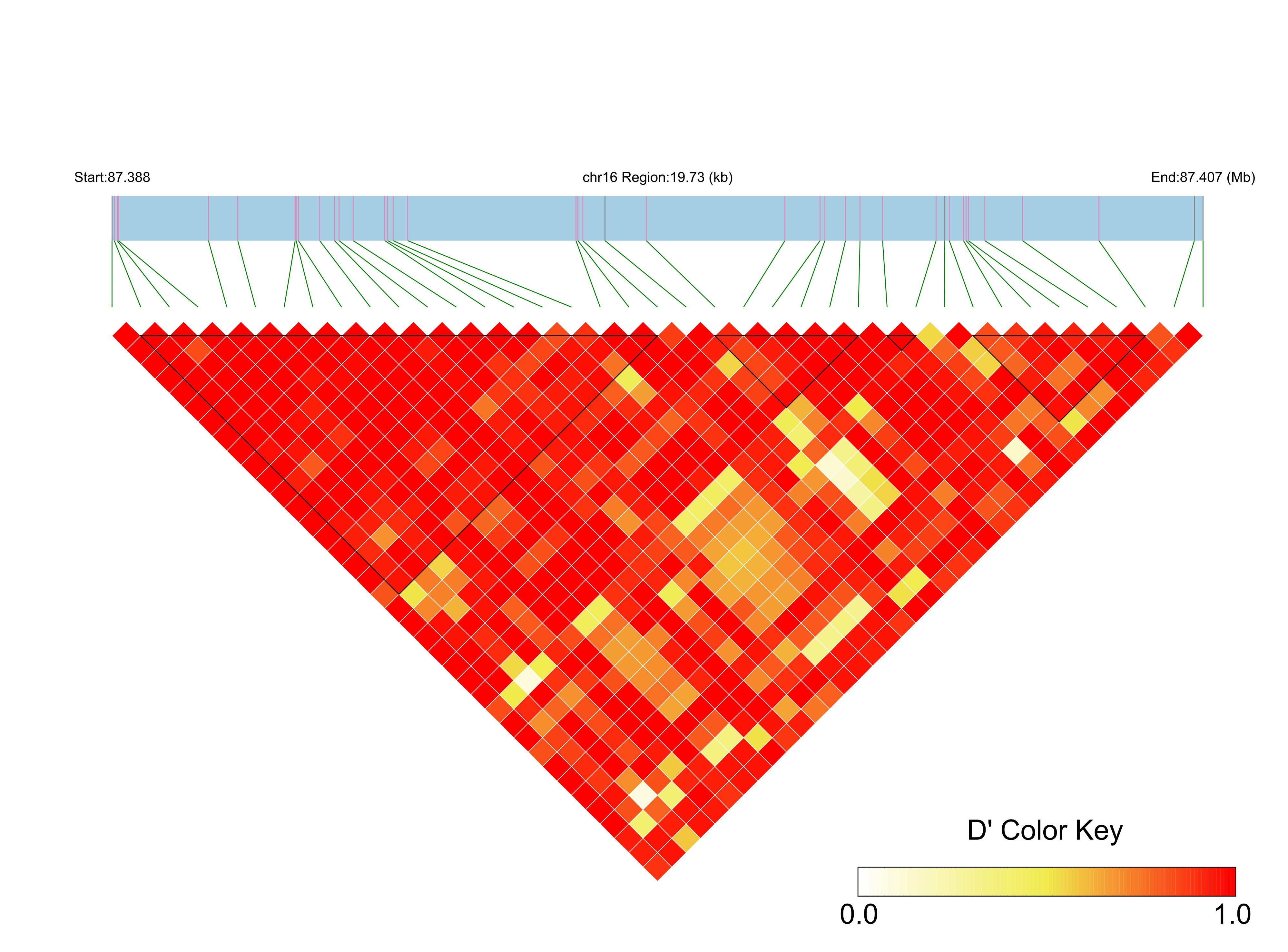 LD