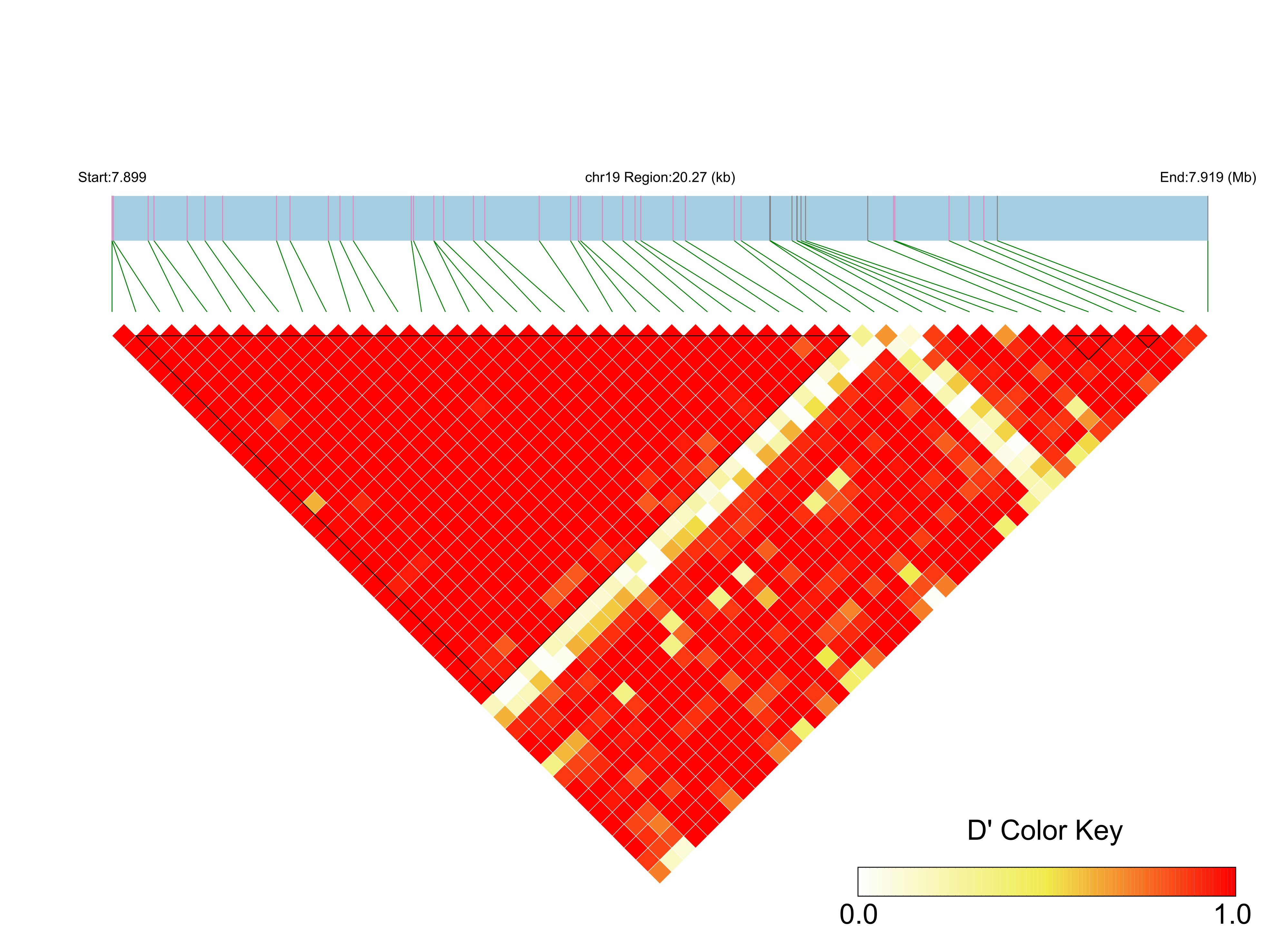 LD