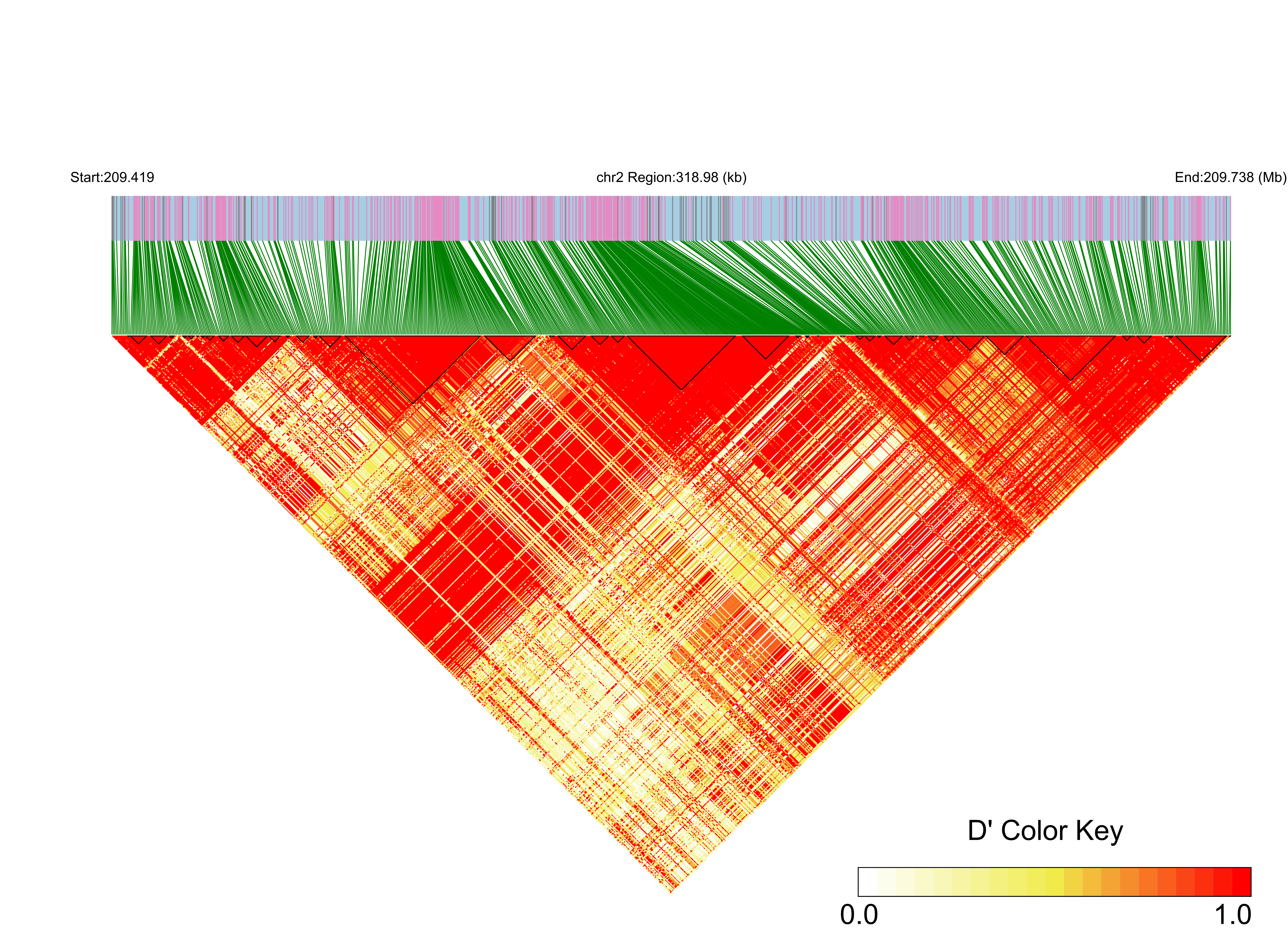 LD