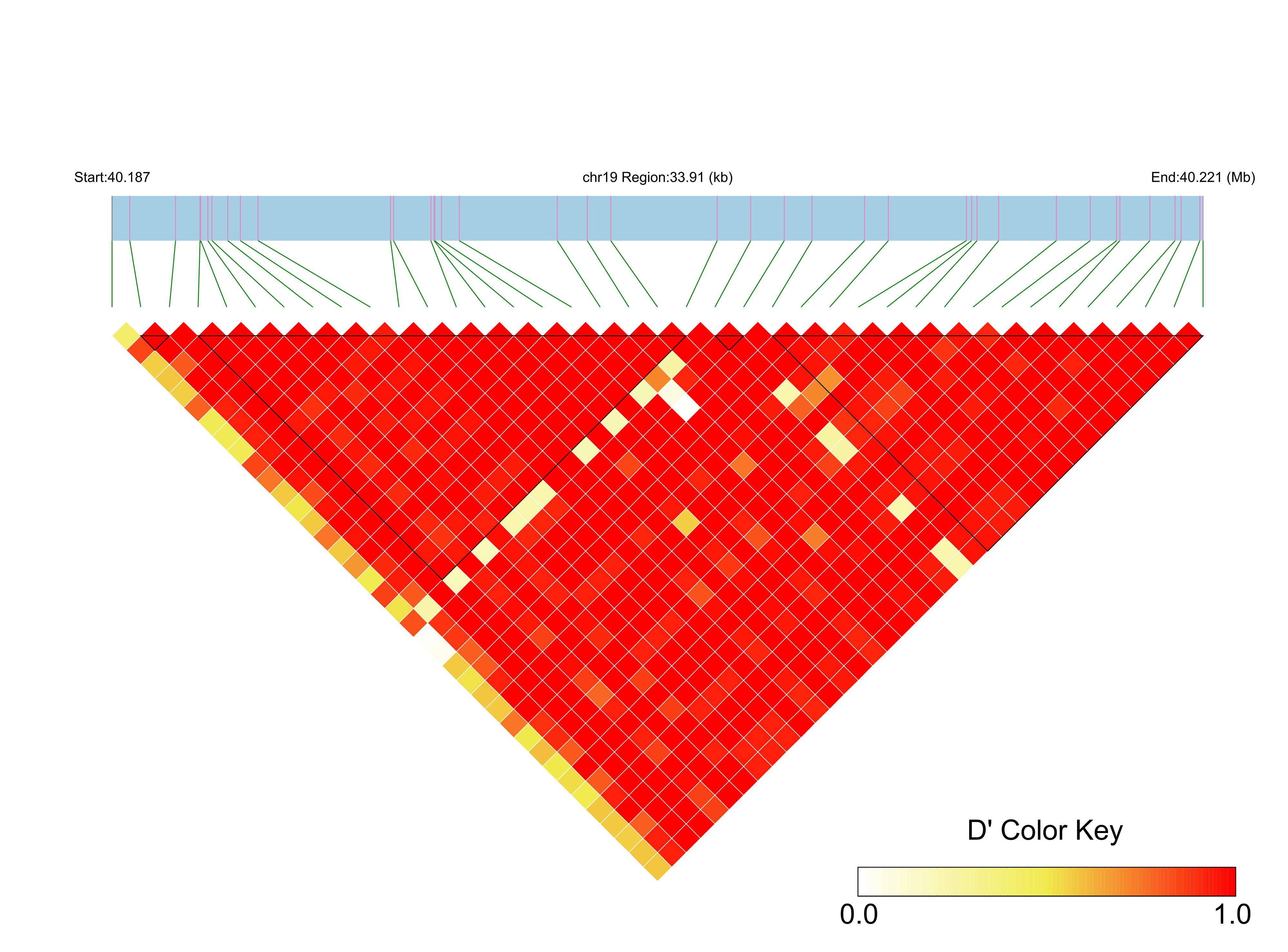 LD