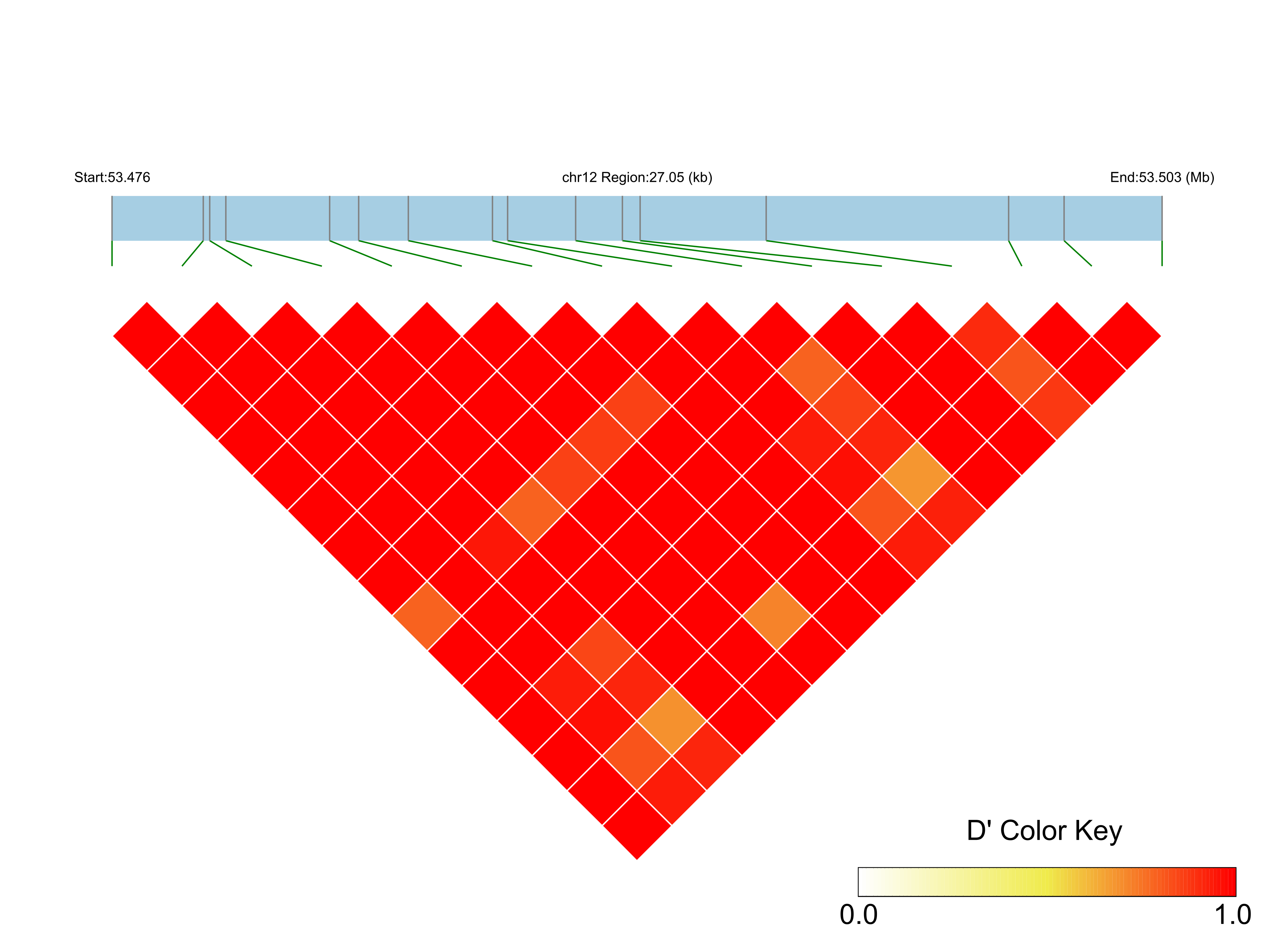 LD