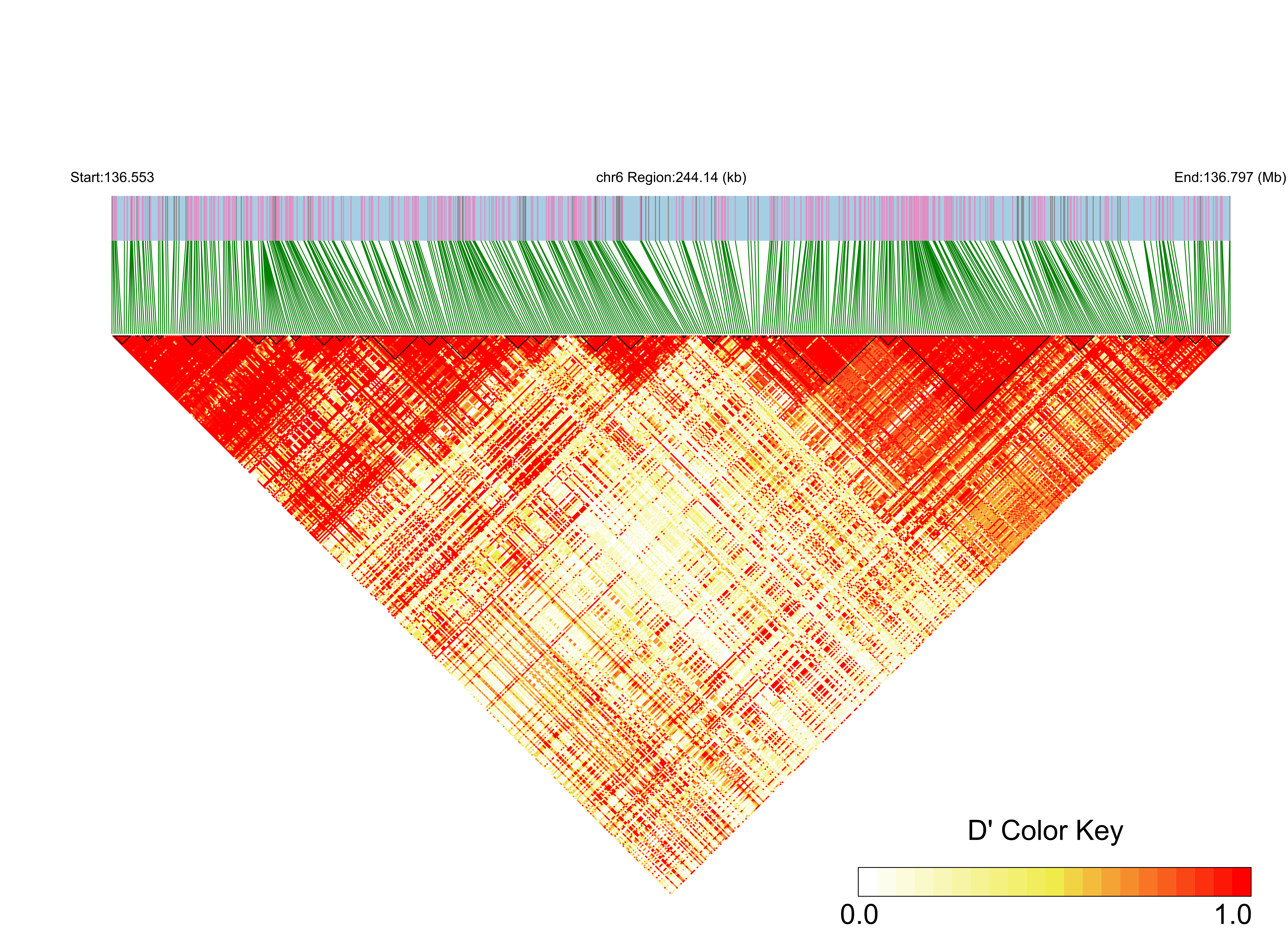 LD