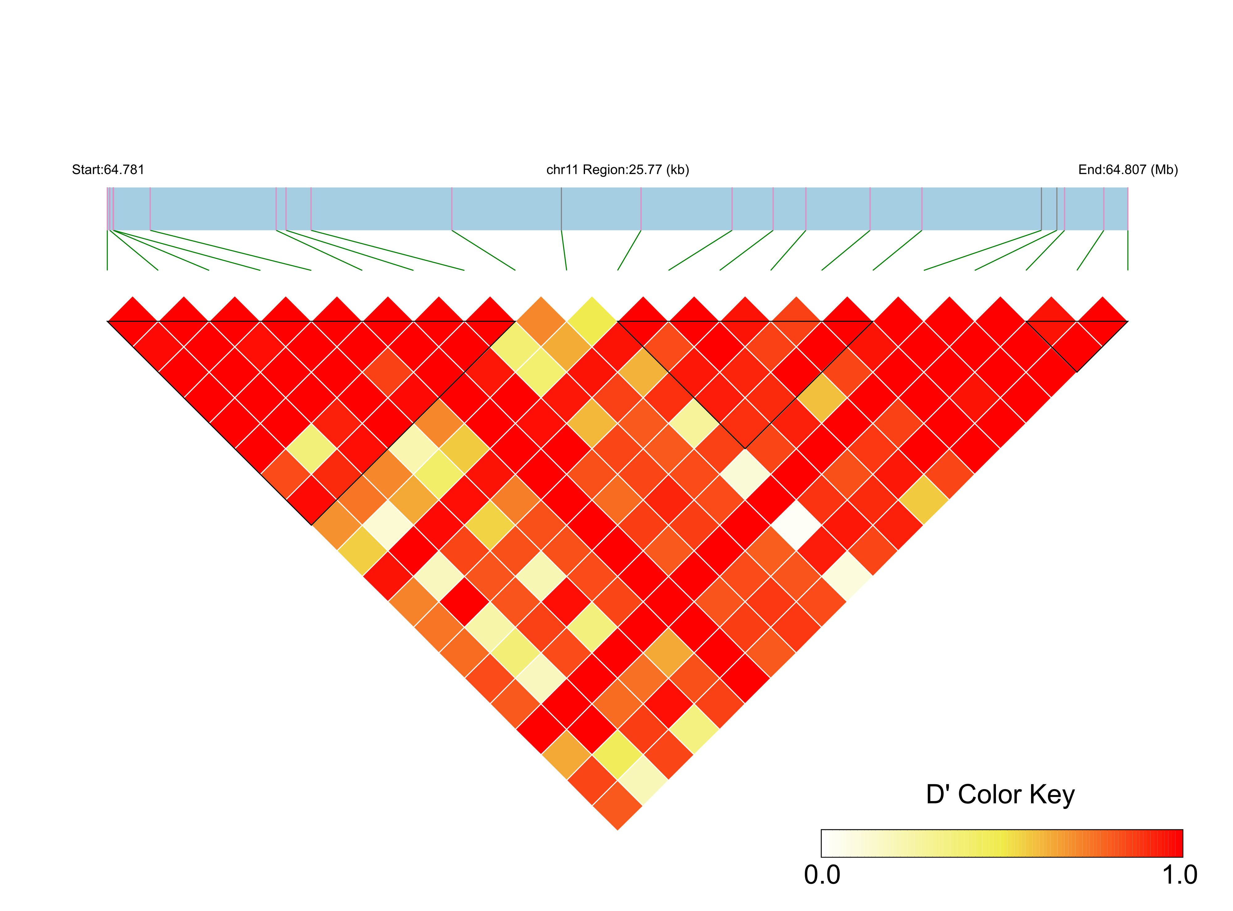 LD