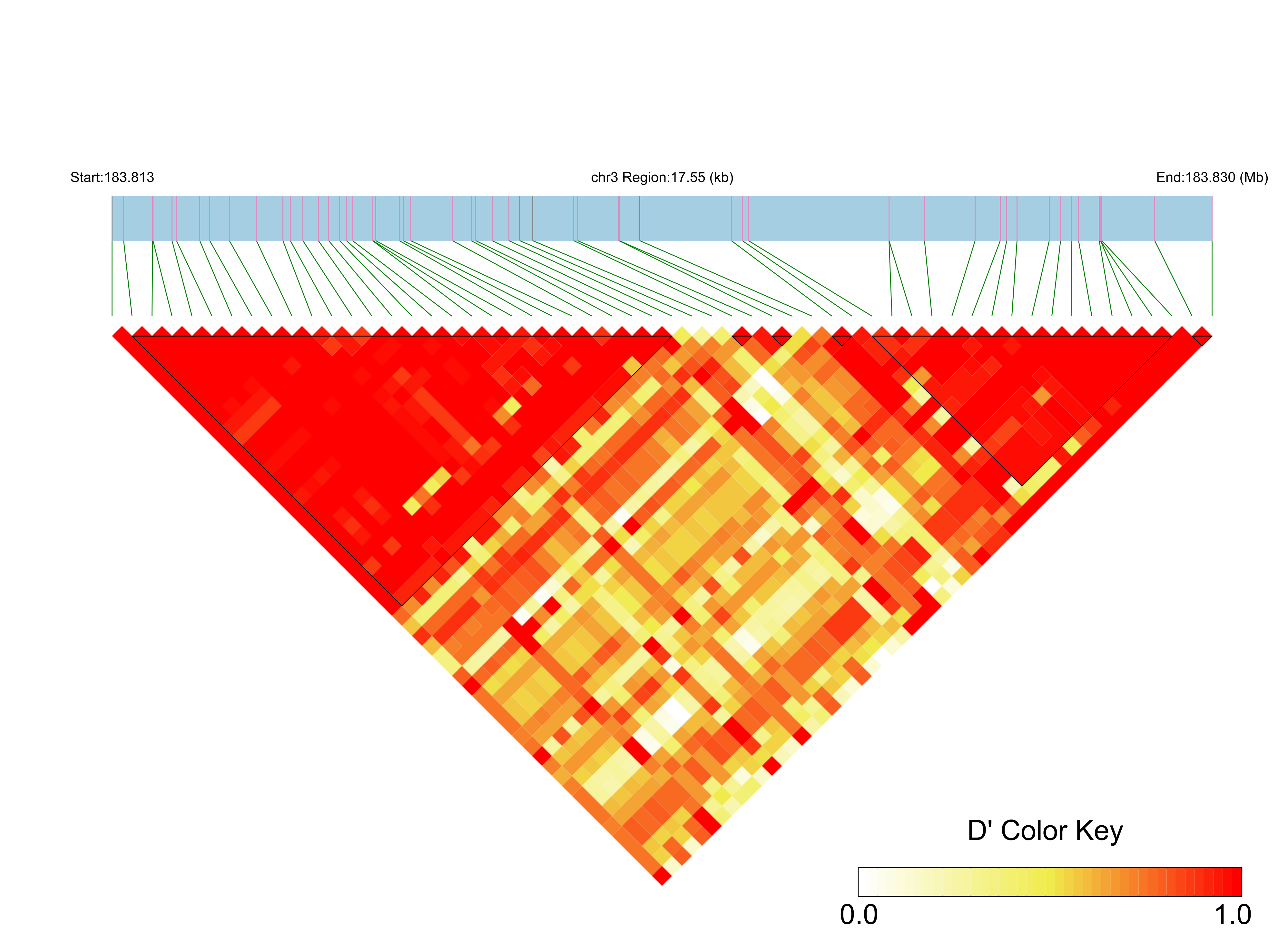 LD