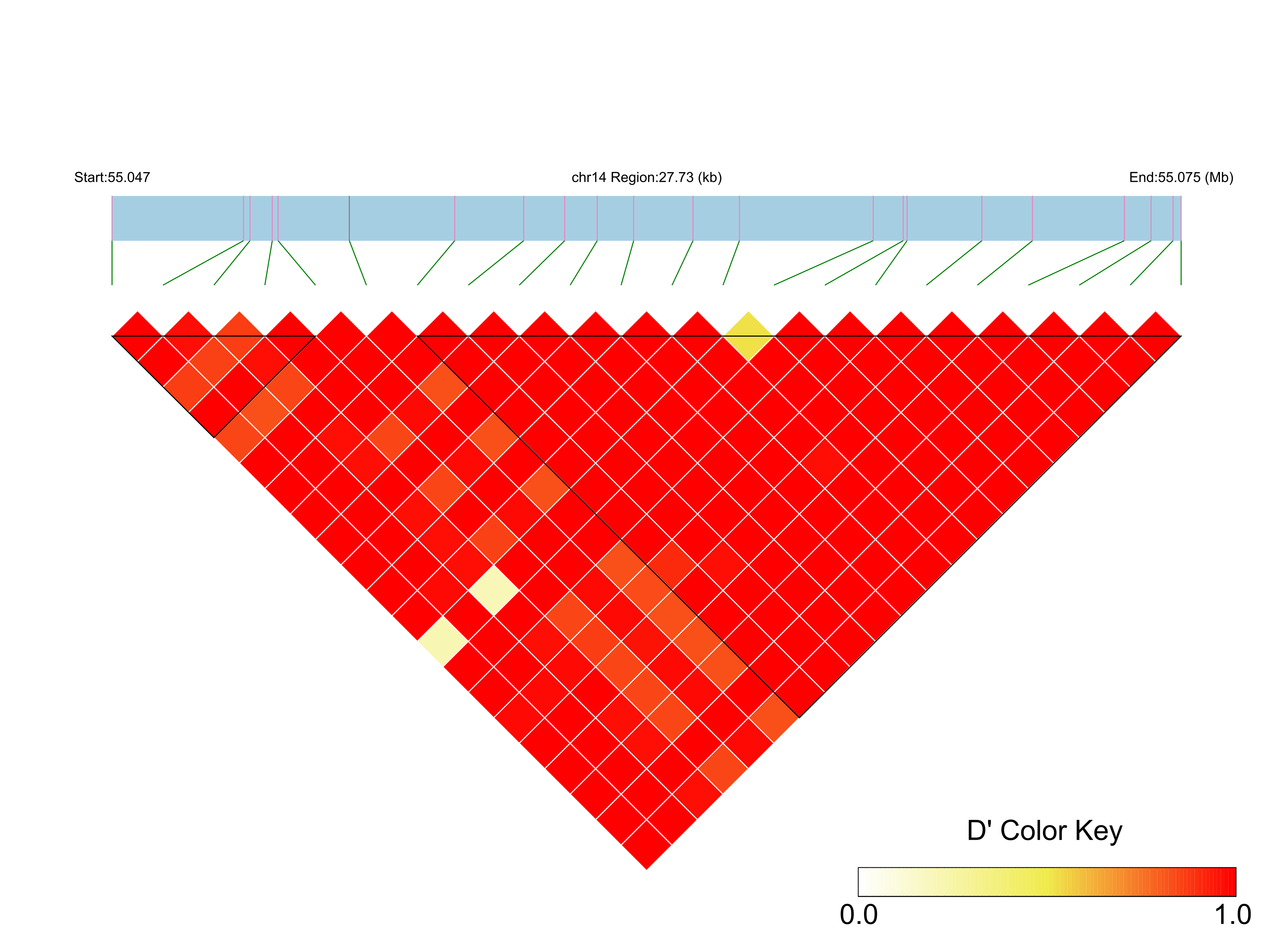LD