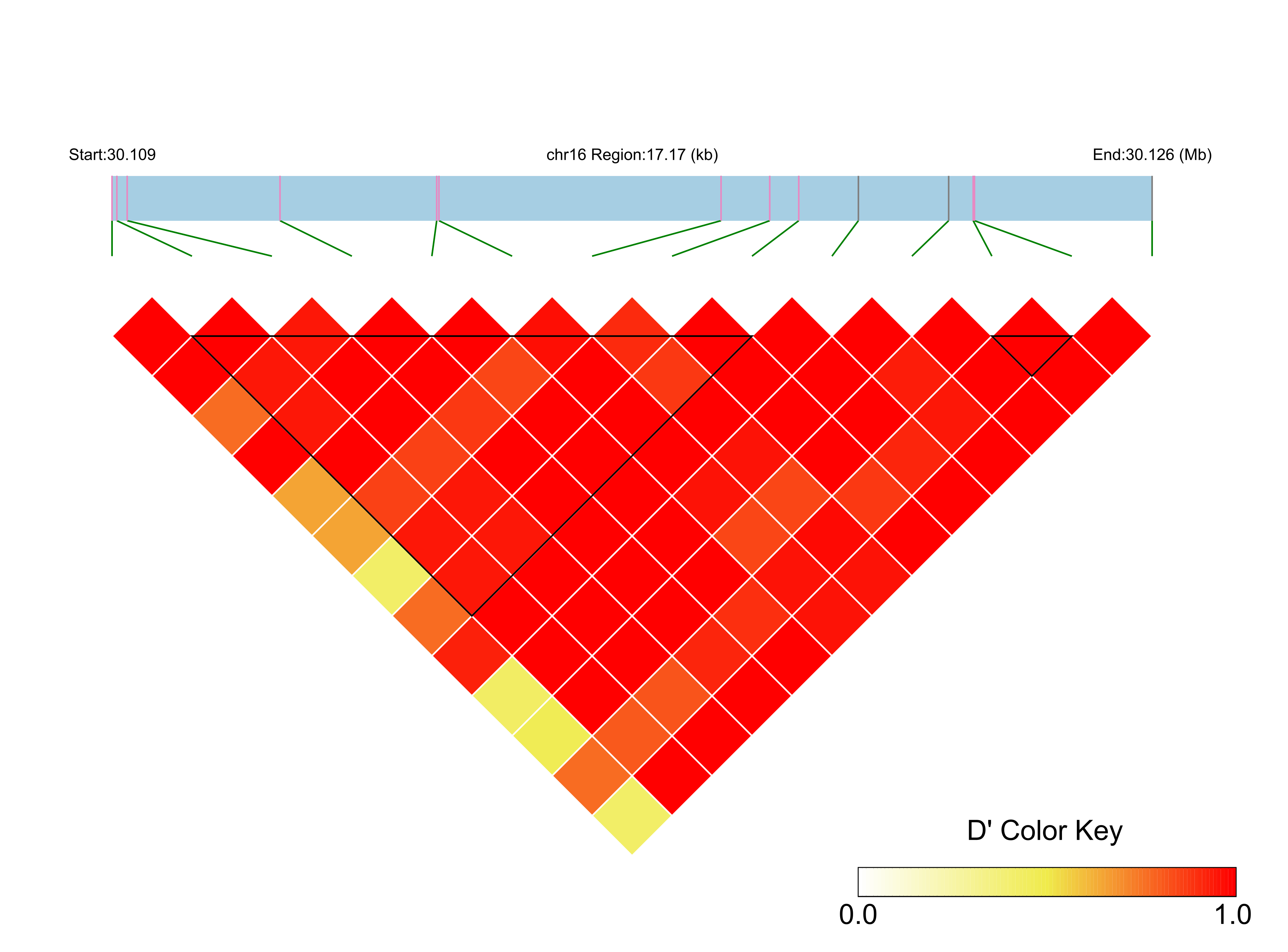 LD