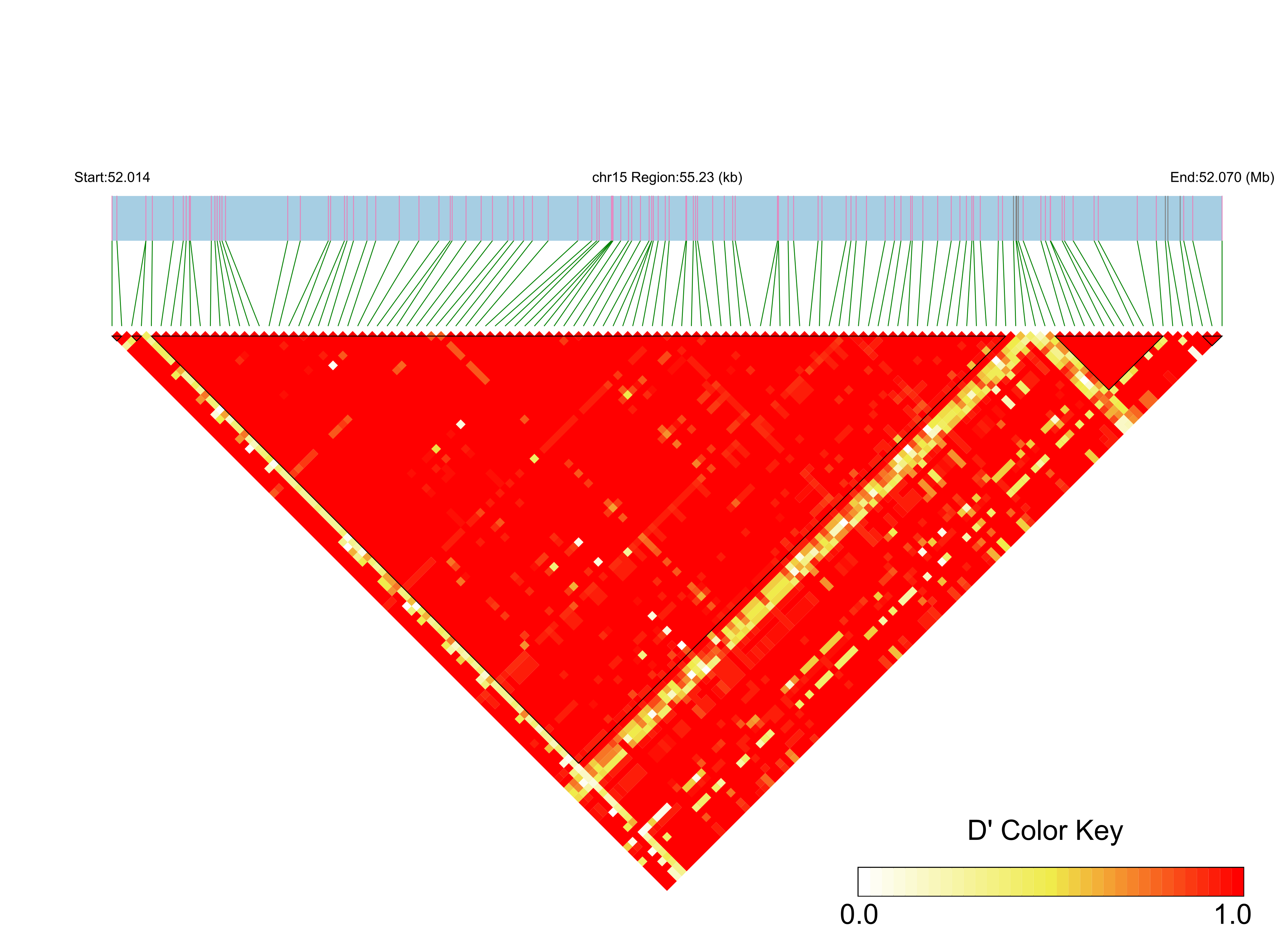 LD