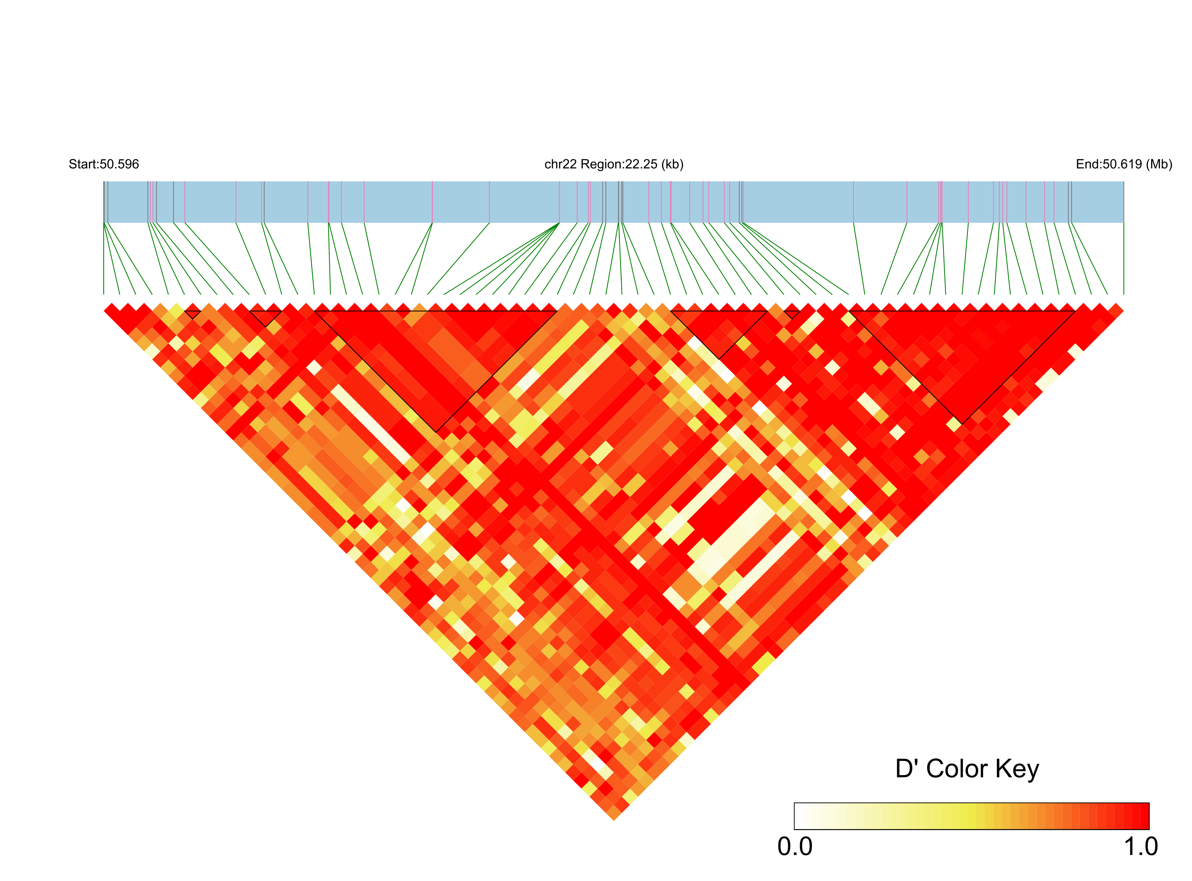 LD