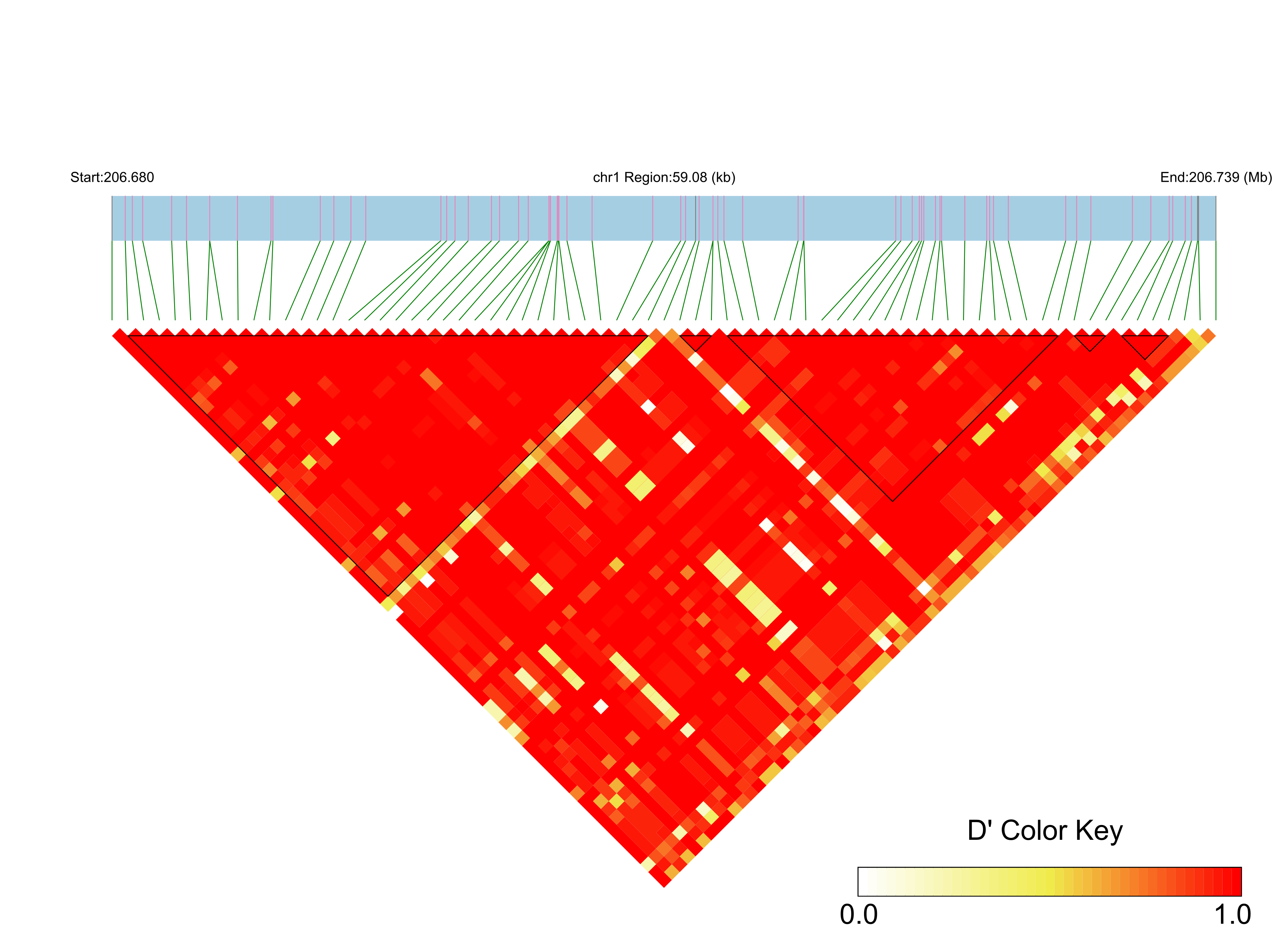 LD