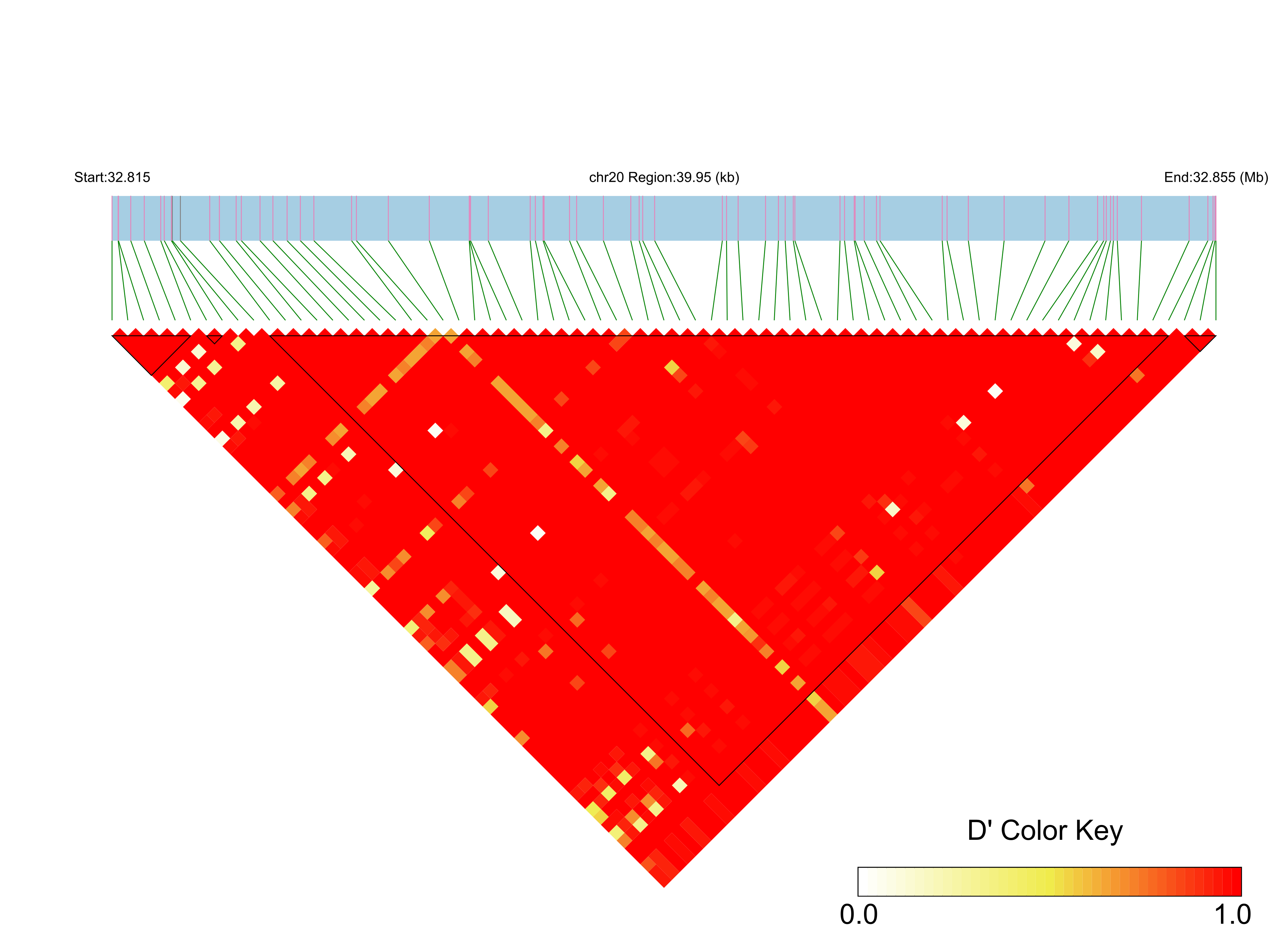 LD