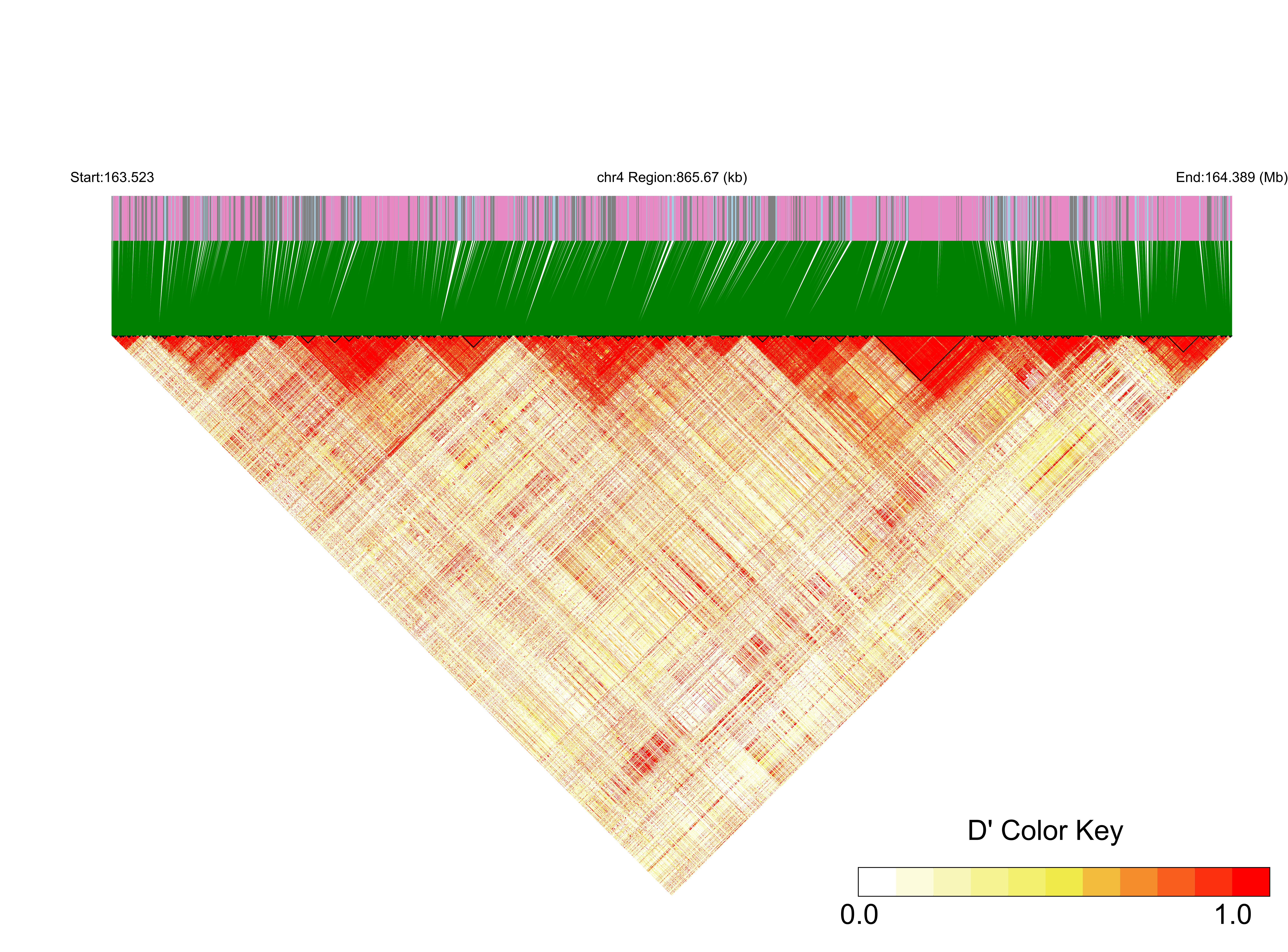 LD