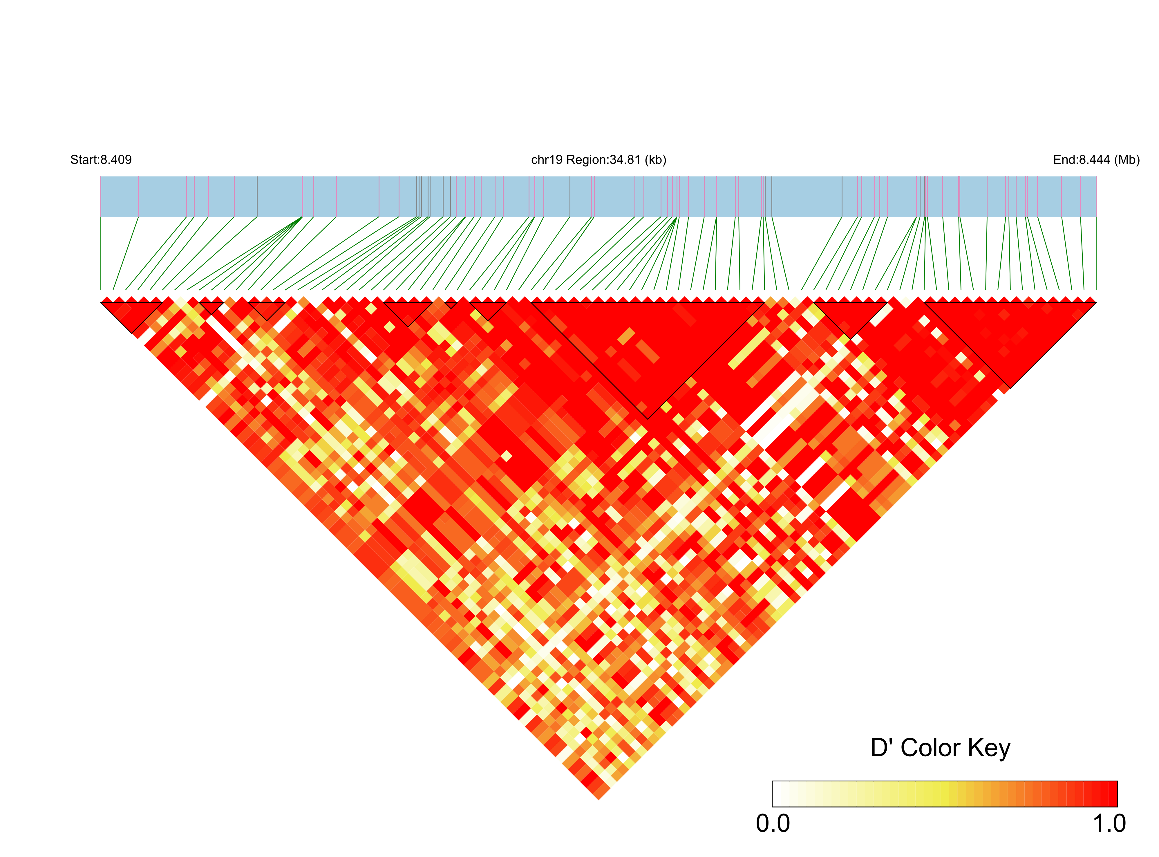 LD