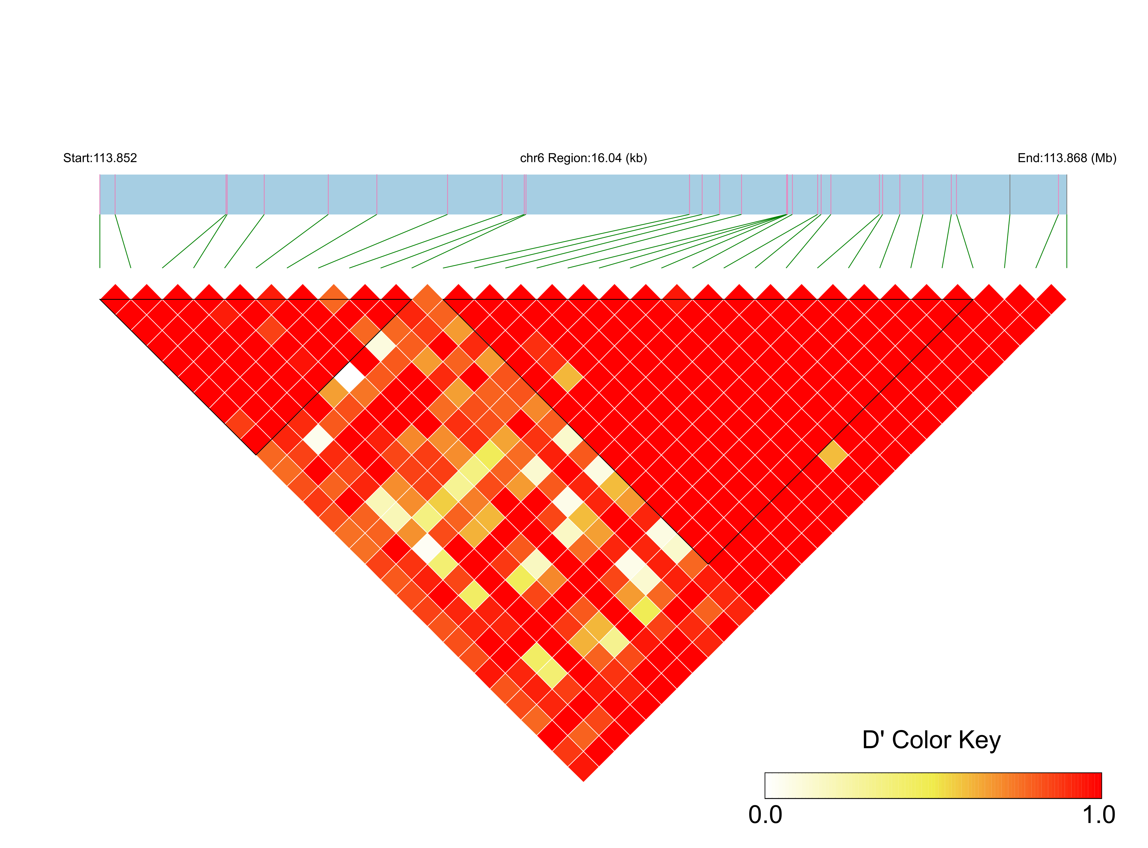 LD