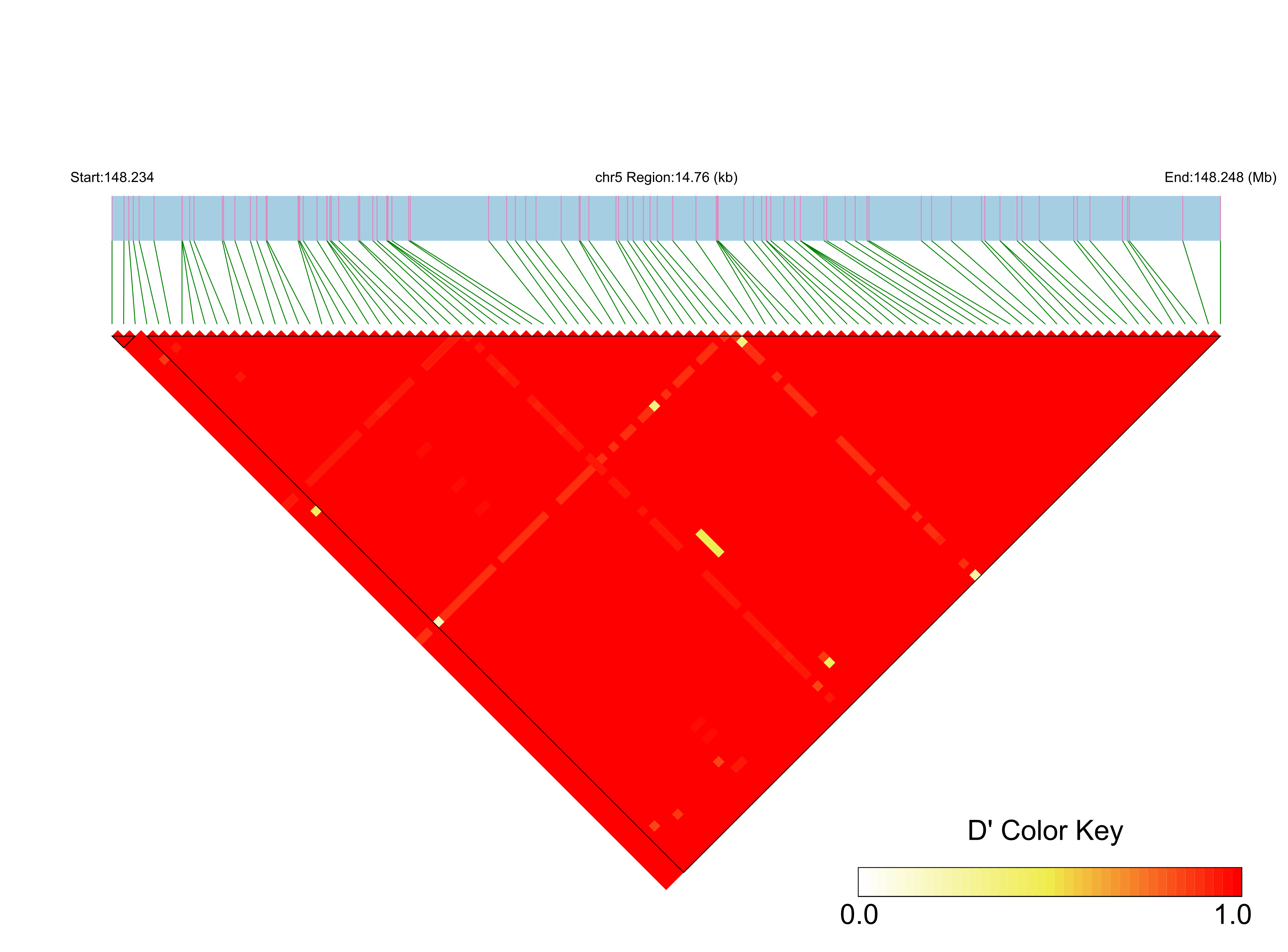 LD