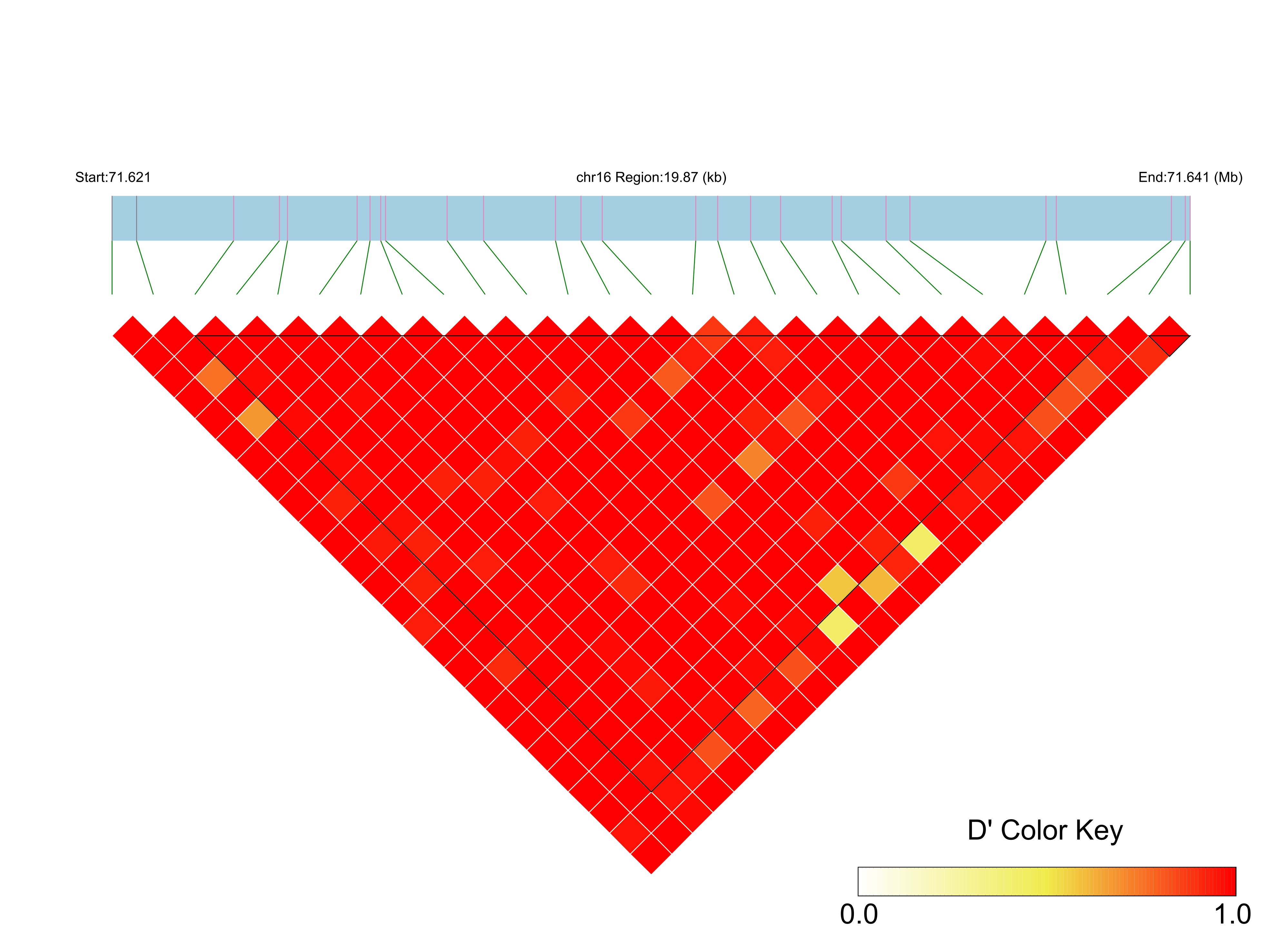 LD