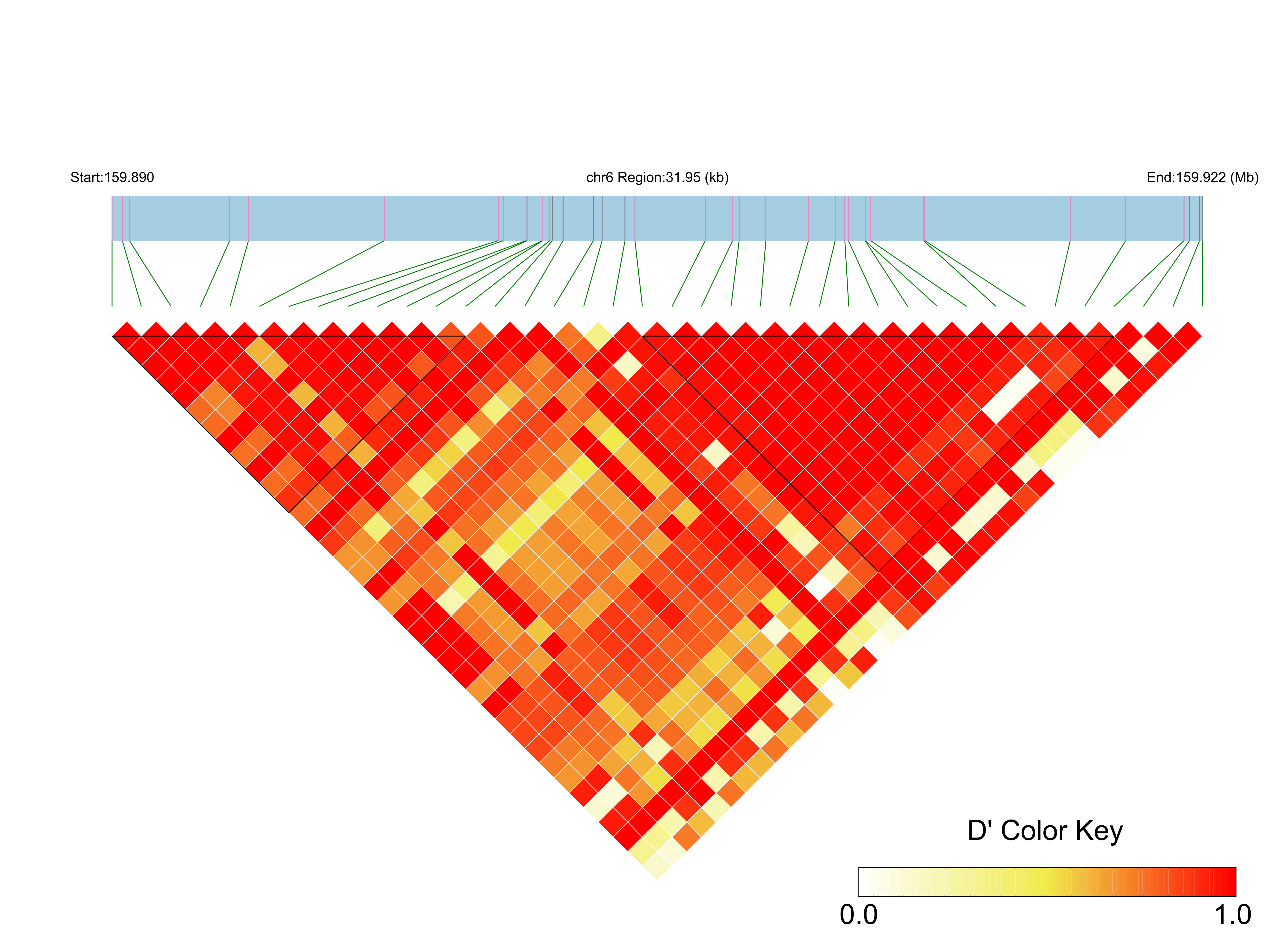 LD