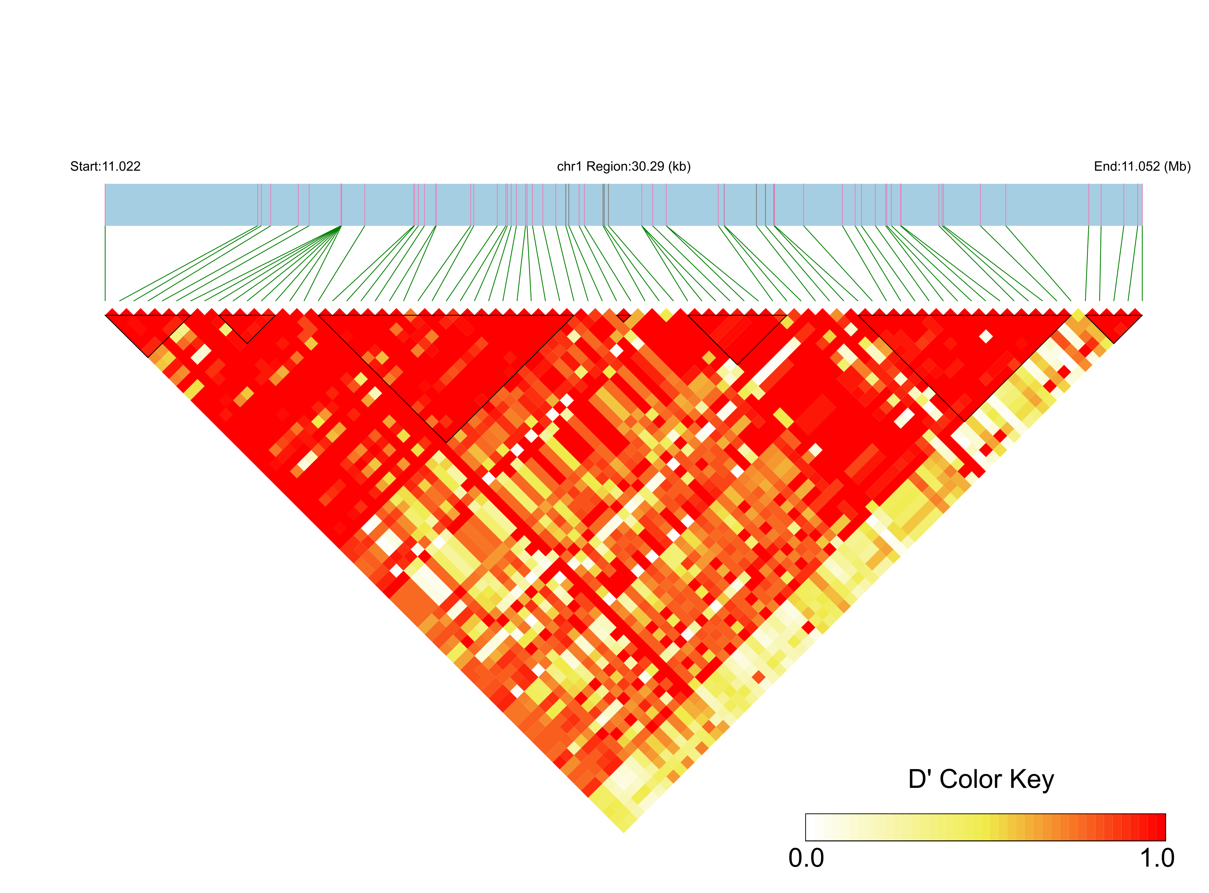 LD