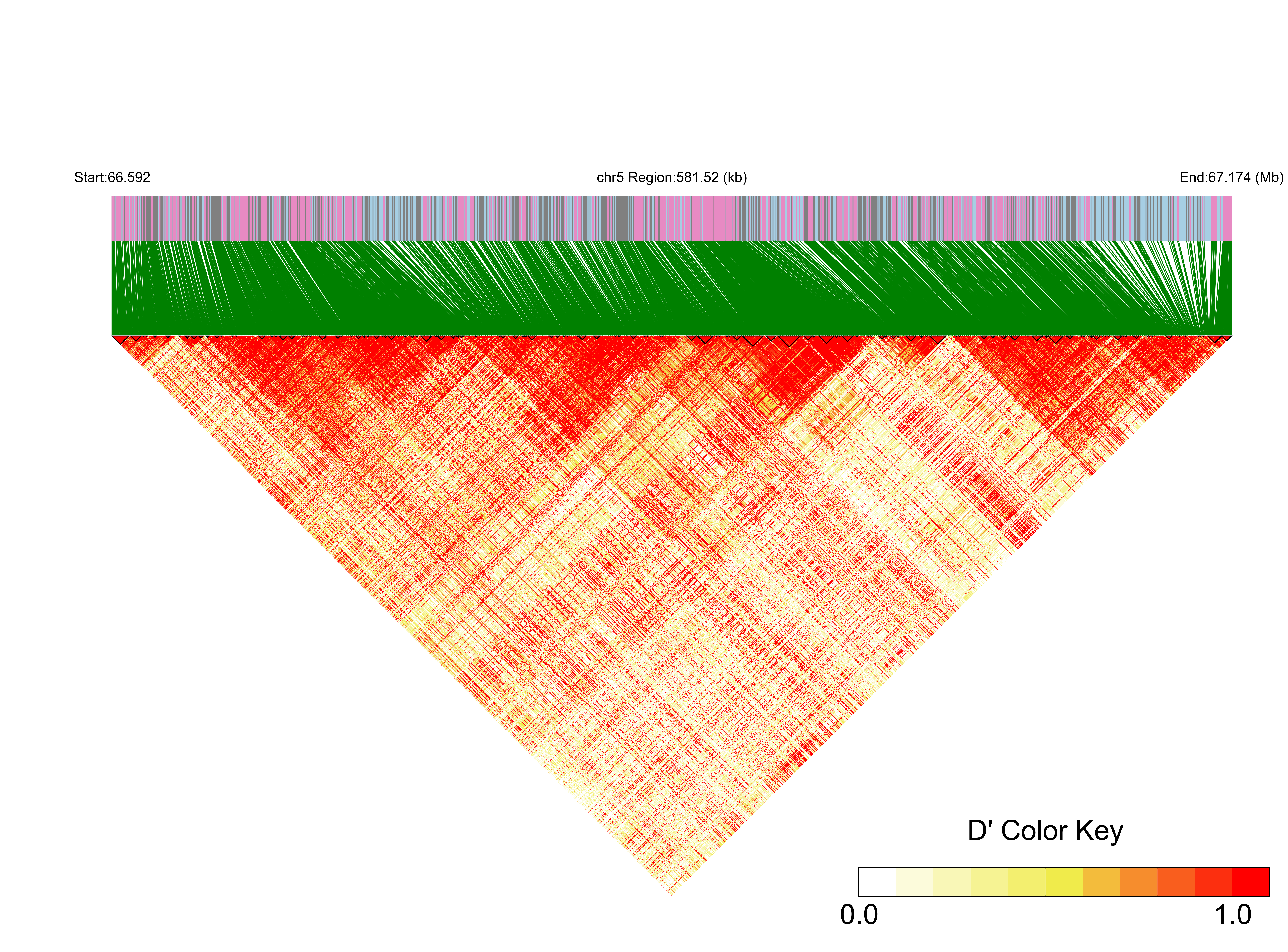LD