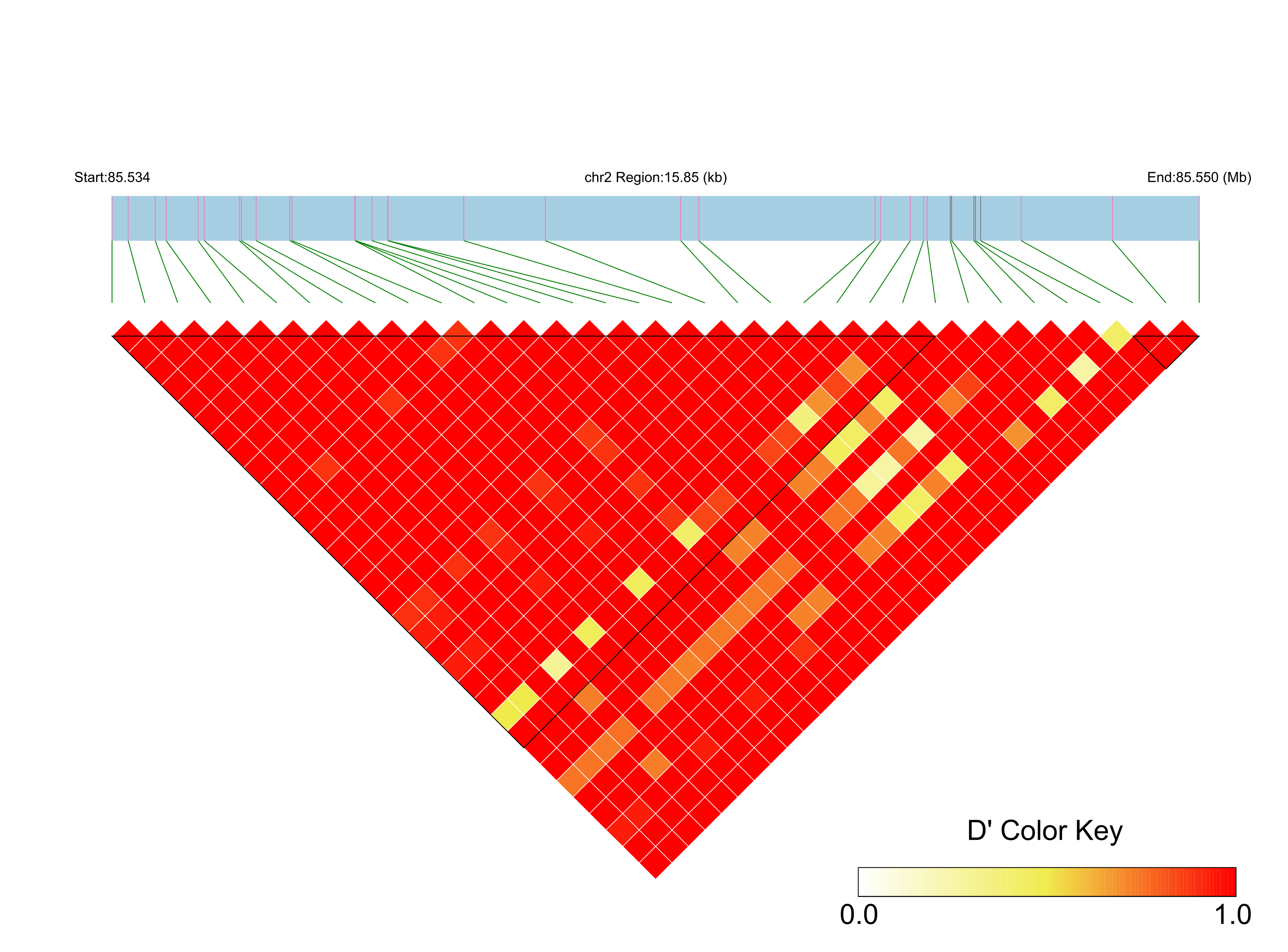 LD